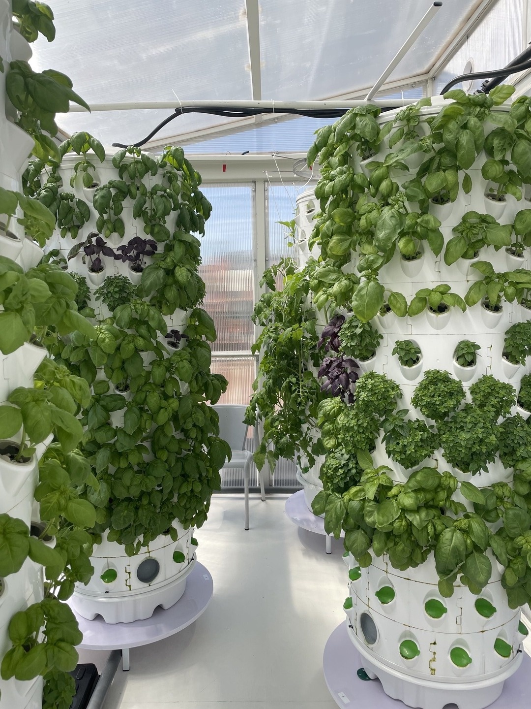 Hydroponic barrels inside Raiz's vertical farming container in Lisbon, Portugal