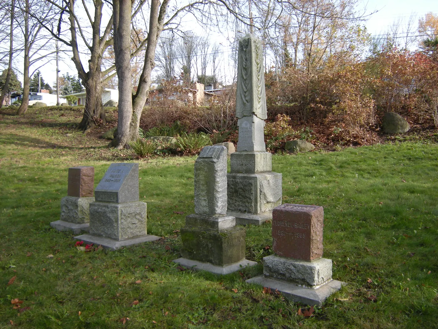 Headstones at Comet Lodge Cemetery