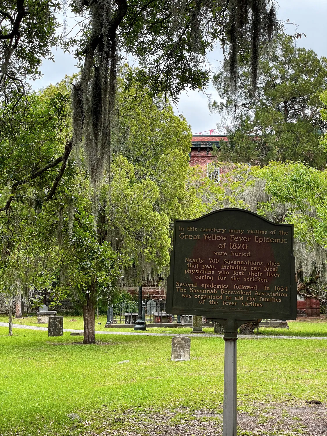 Yellow Fever Plaque