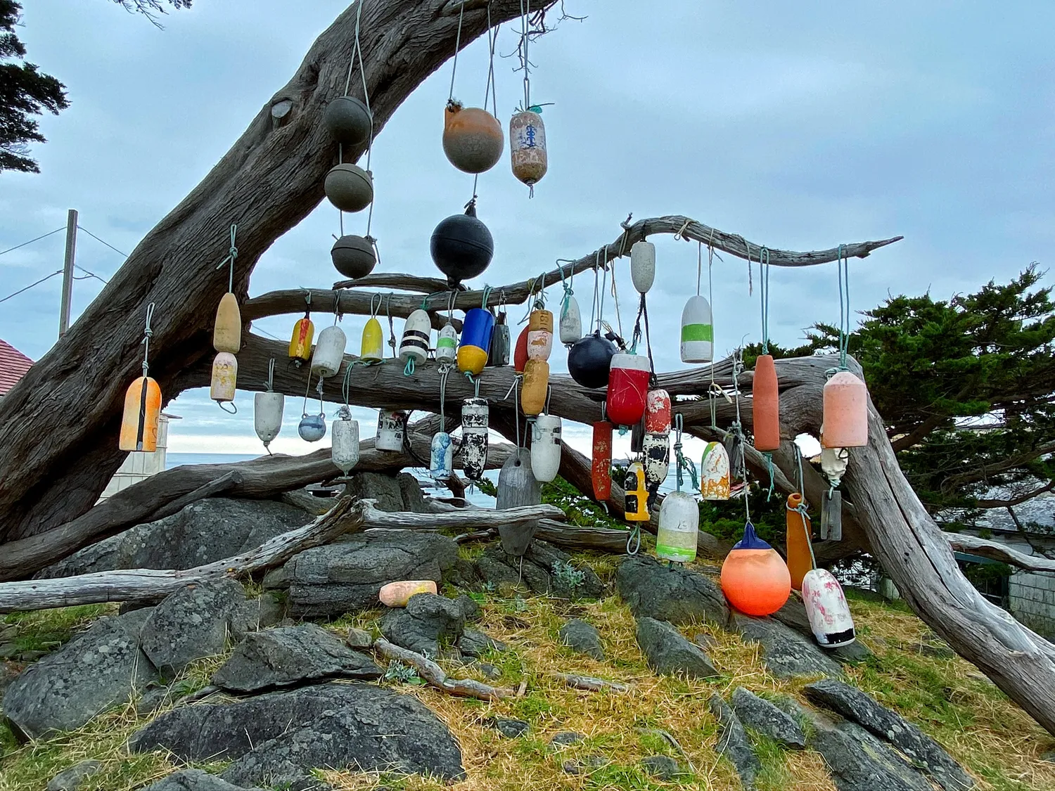 Battery Point Lighthouse Buoys 