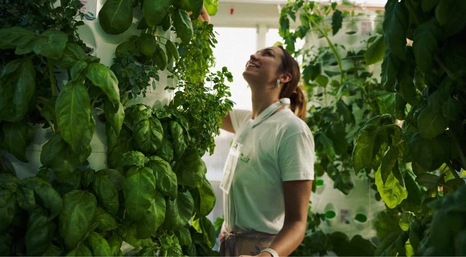 Image showcasing a vertical farming environment or setup with agronomist