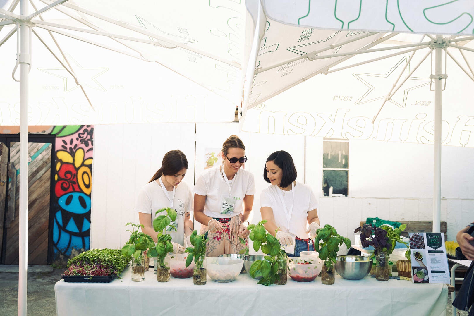 Raiz's team working with harvested plants during a company event