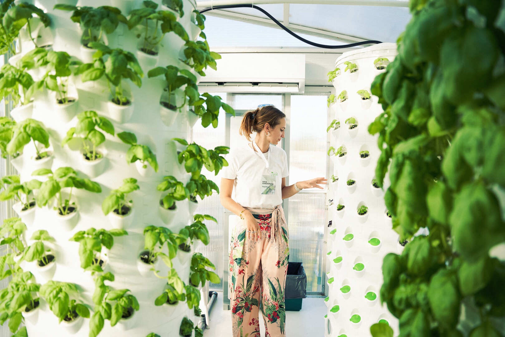 Picture of the agronomist working inside the greenhouse of Raiz's vertical farming container