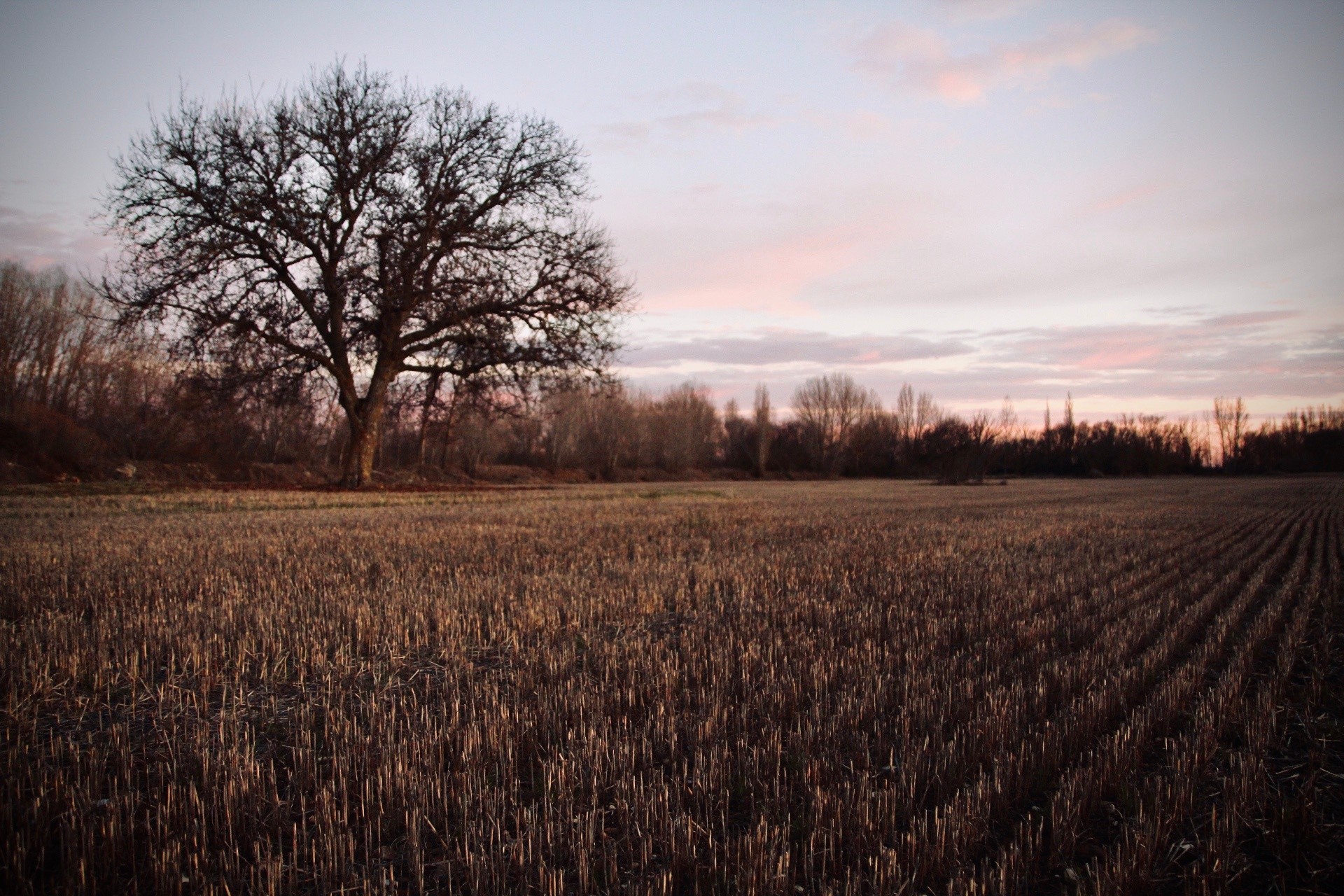 paisaje-castilla