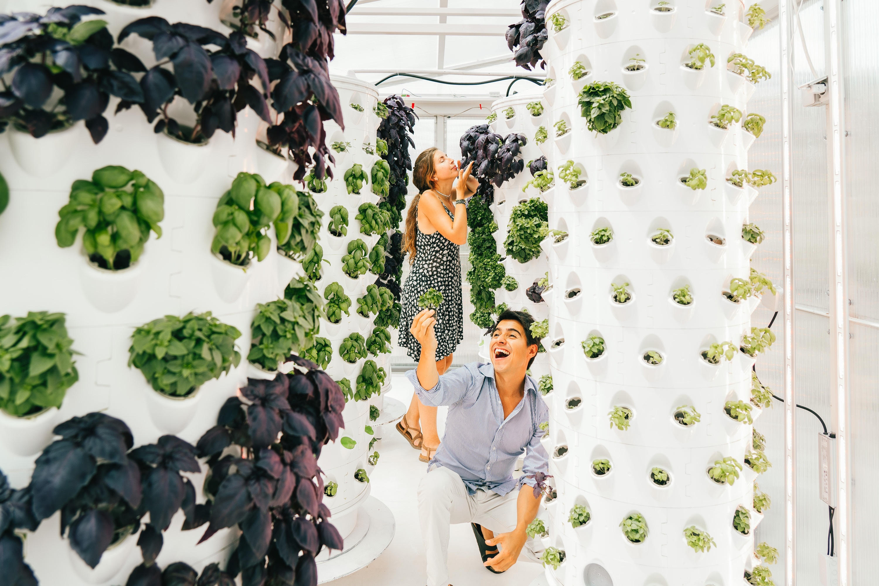 cofounders inside vertical farming experience in lisbon
