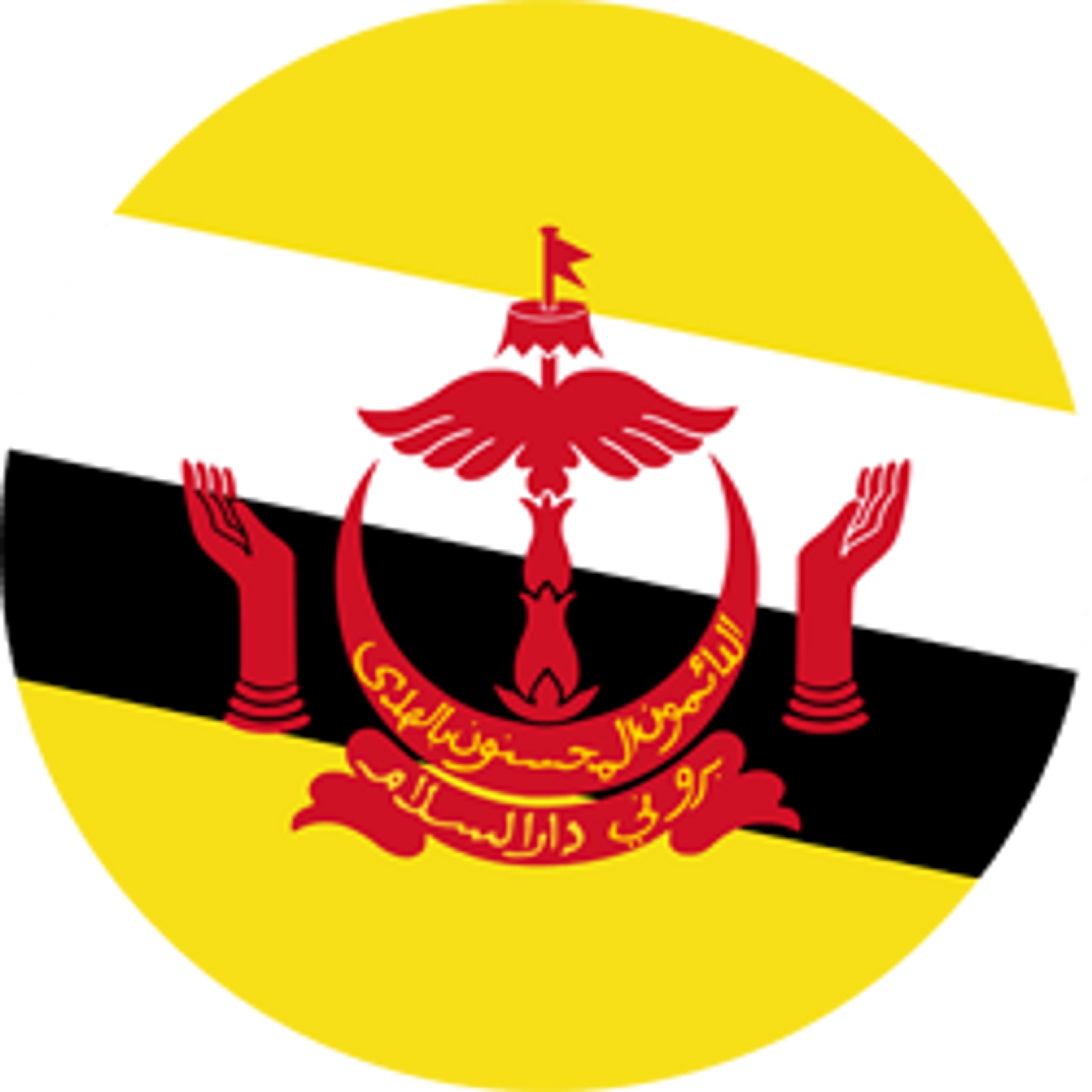 Brunei flag