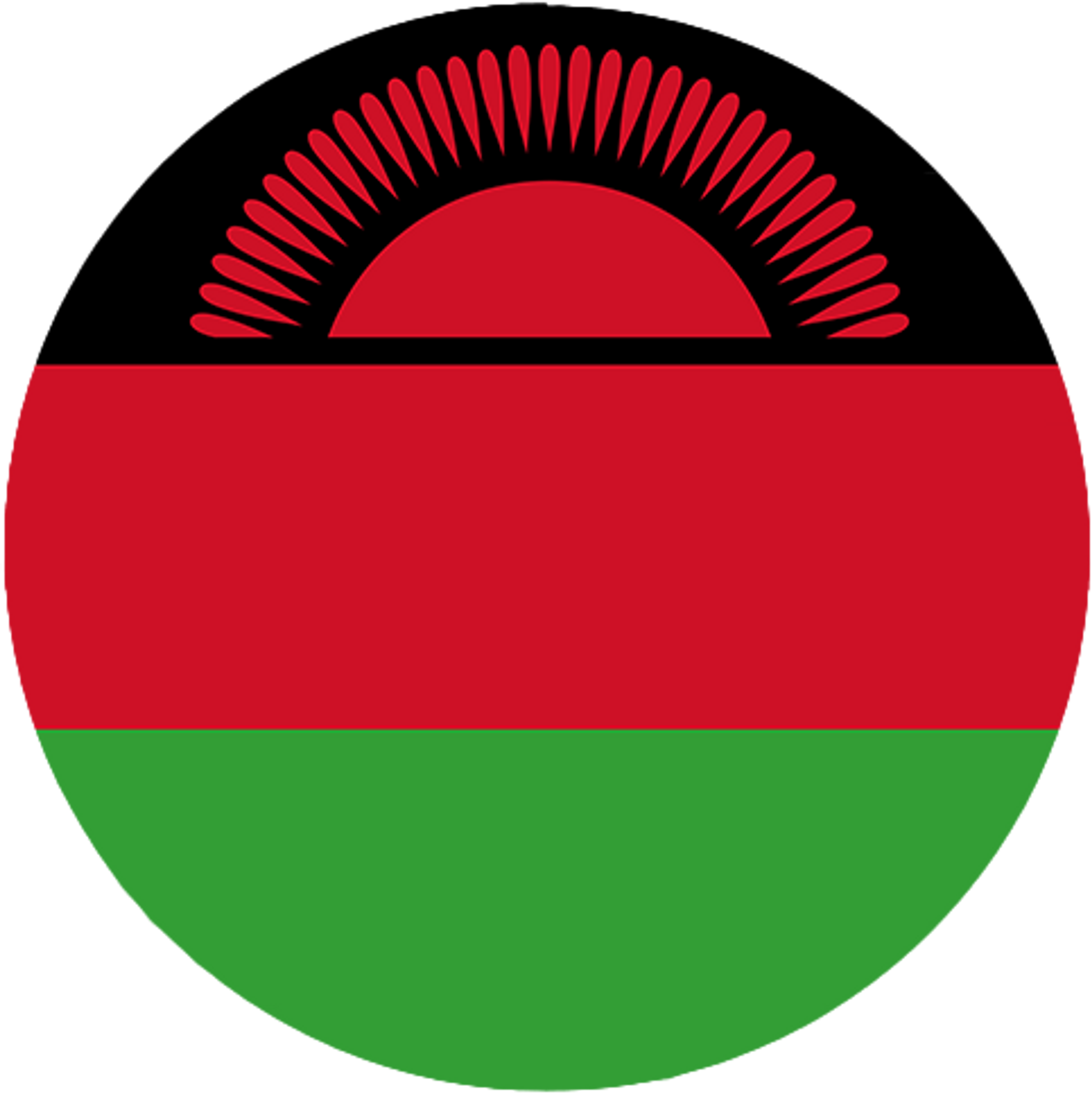 Malawi flag