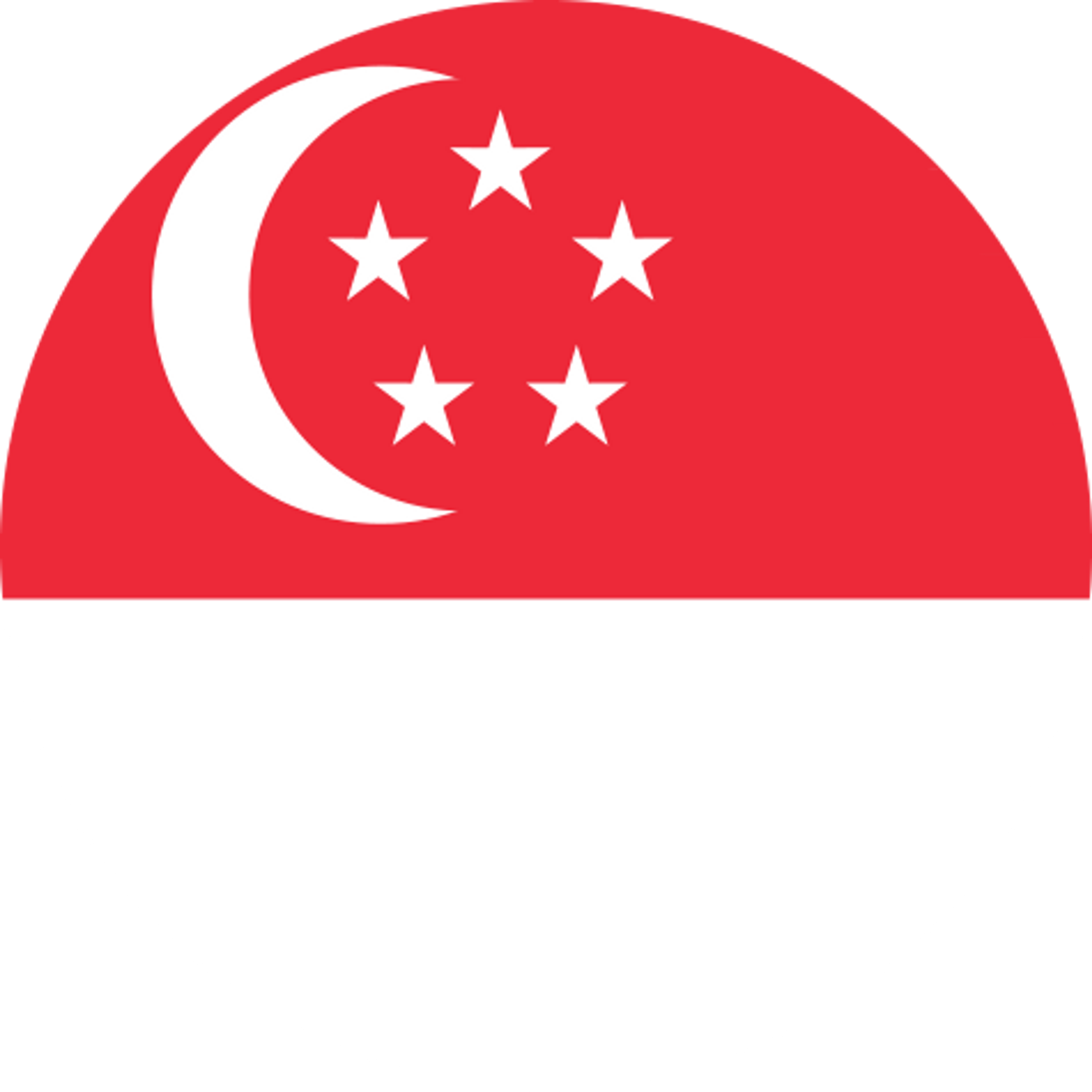 Singapore flag