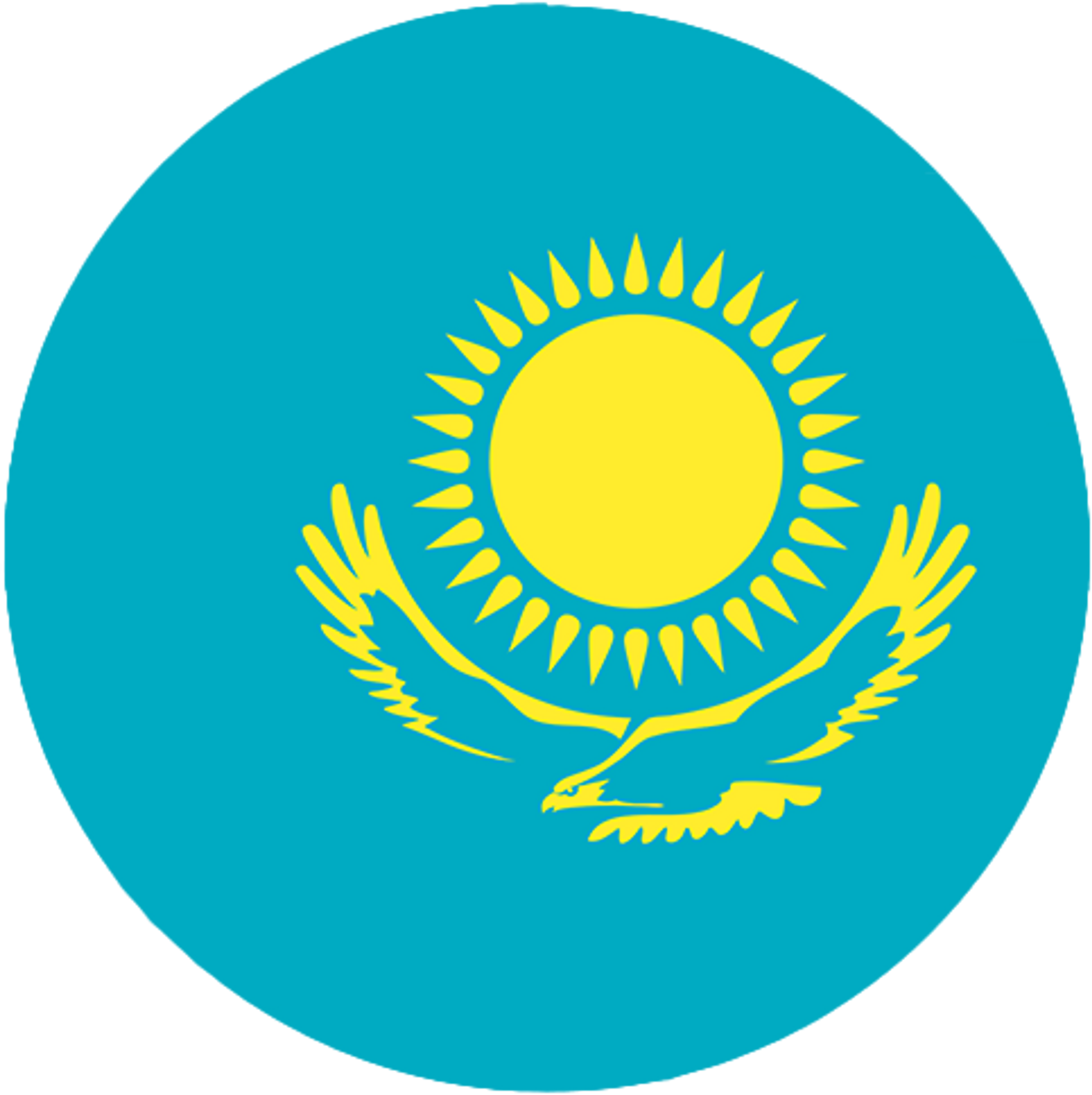 Kazakhstan flag