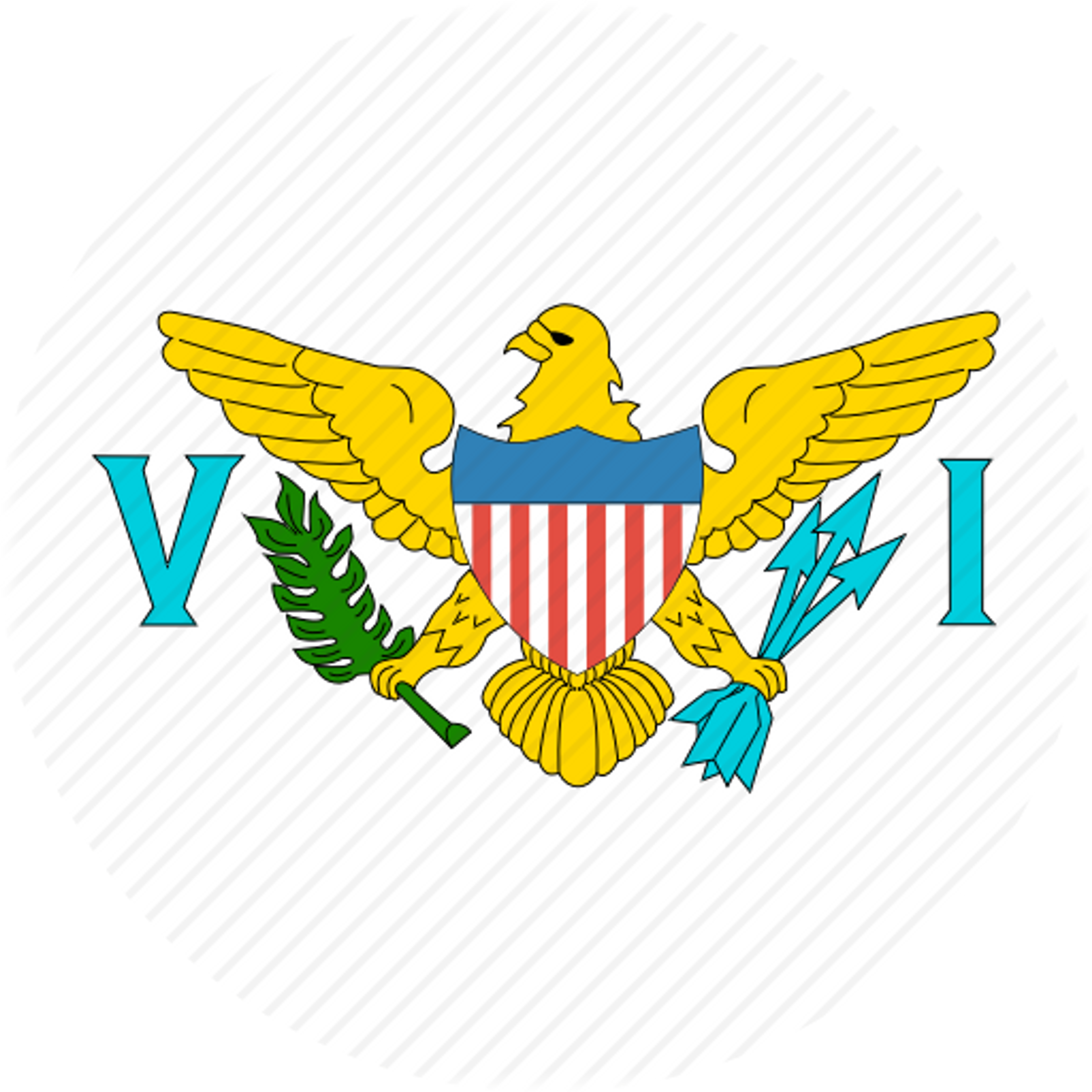 US Virgin Islands flag