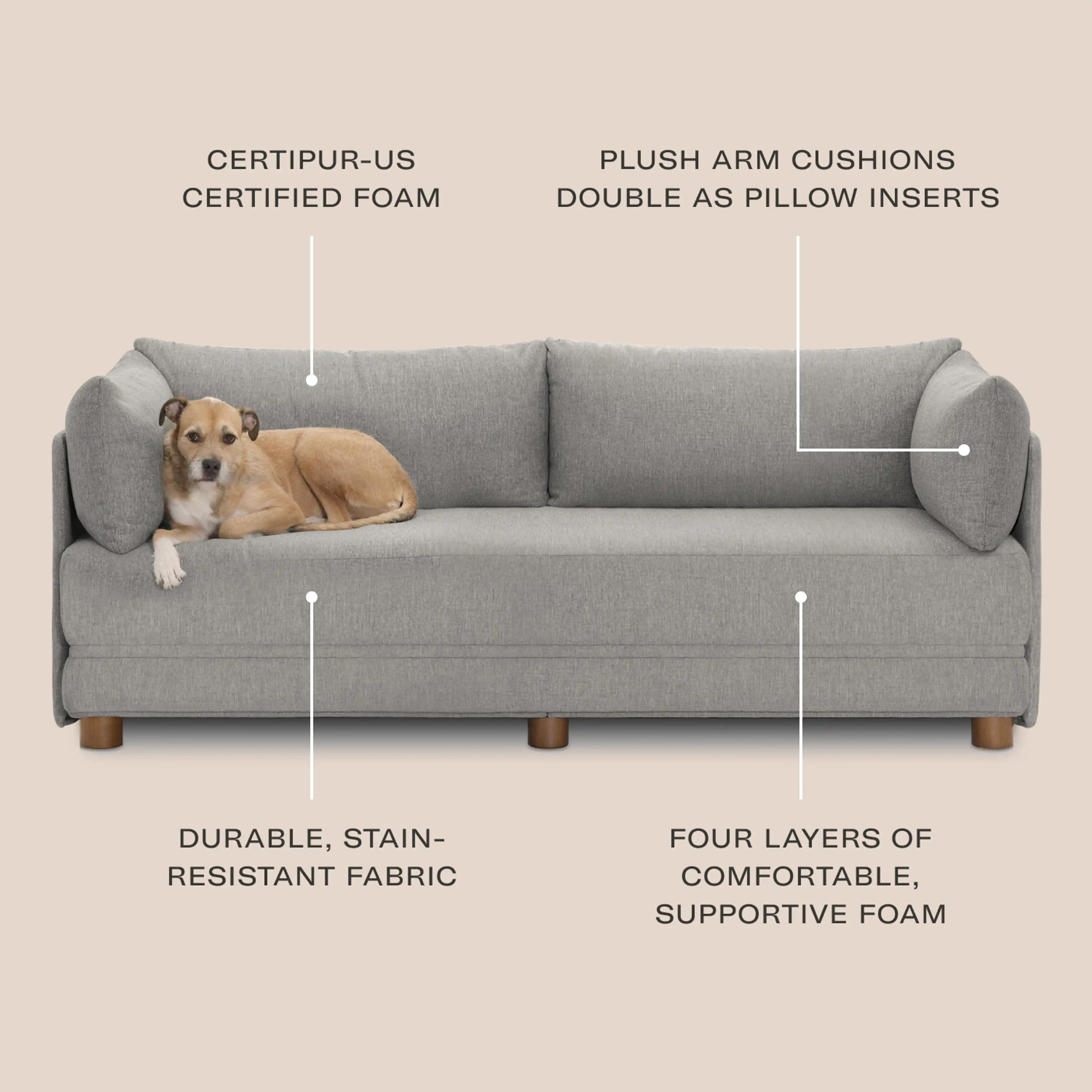Sleeper Sofa | Burrow