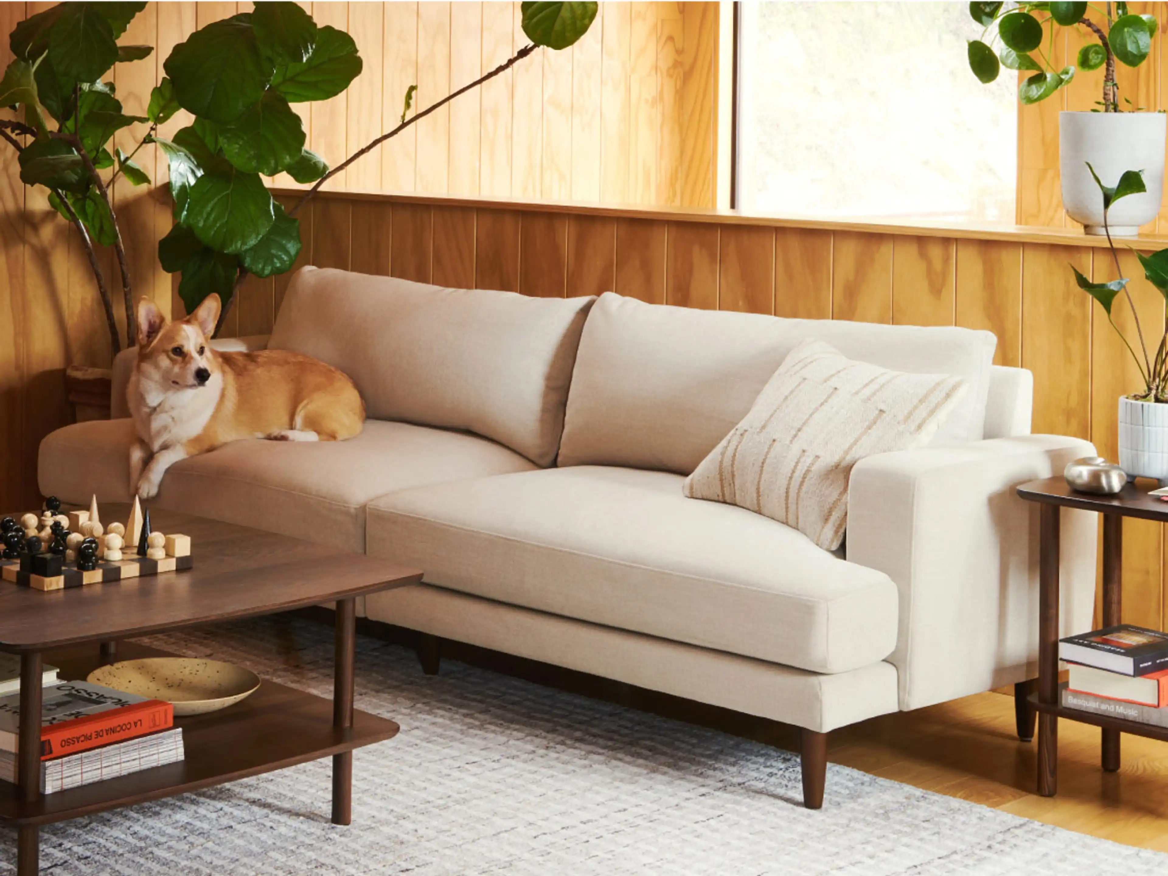 Ember Mid-Century Modern Sofa | Burrow