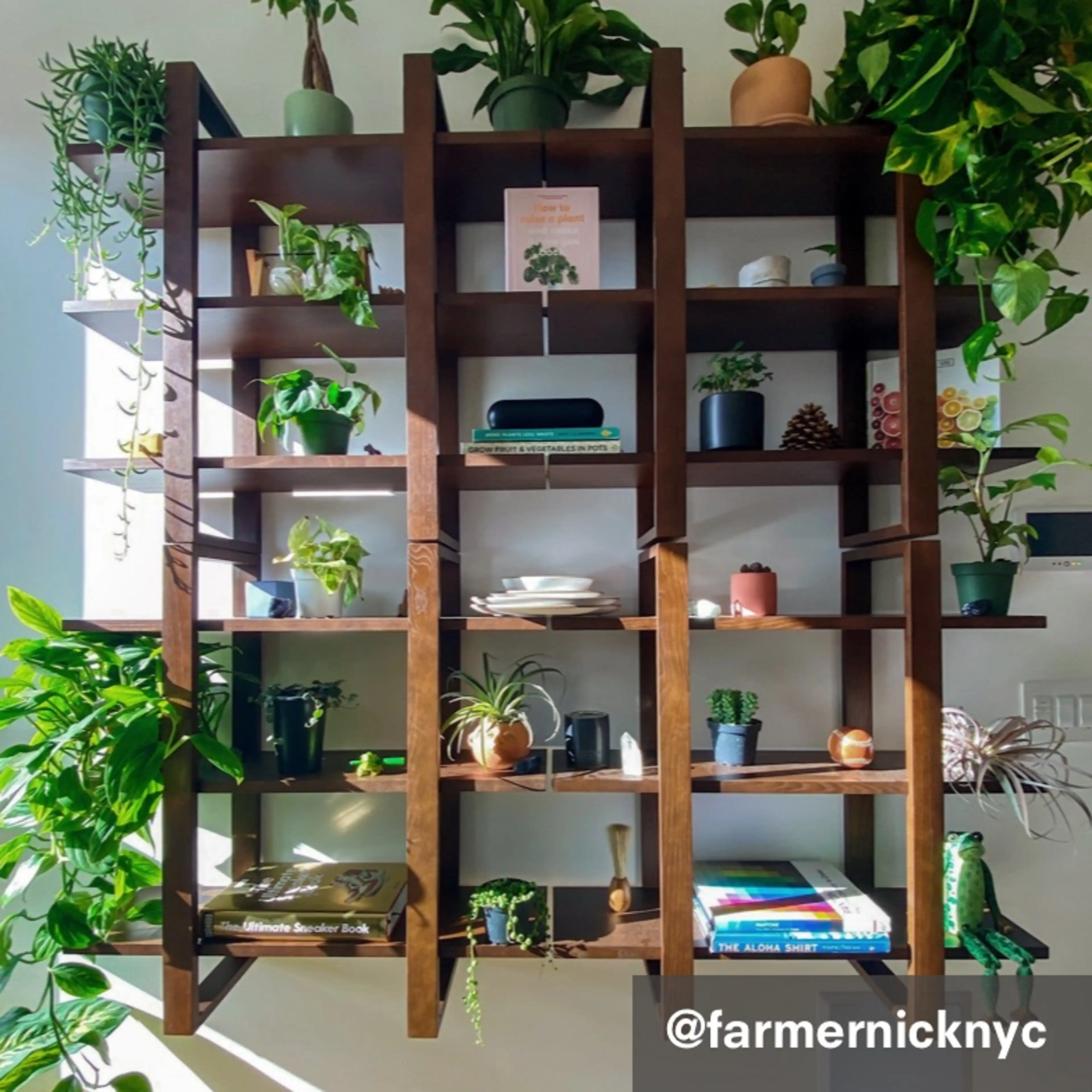 Index Wall Shelf (set of 6) from @farmernicknyc