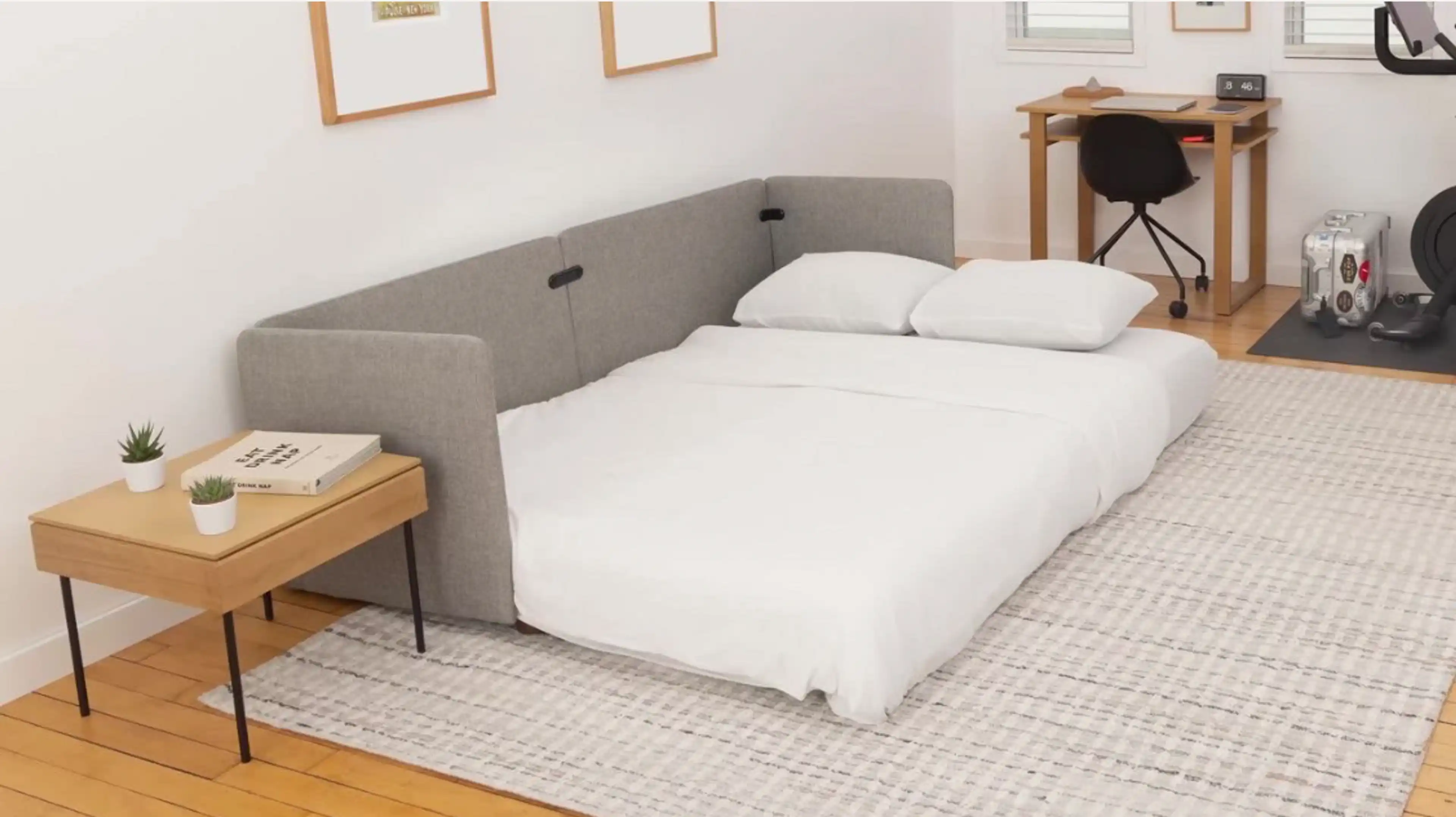 Sleeper Sofa