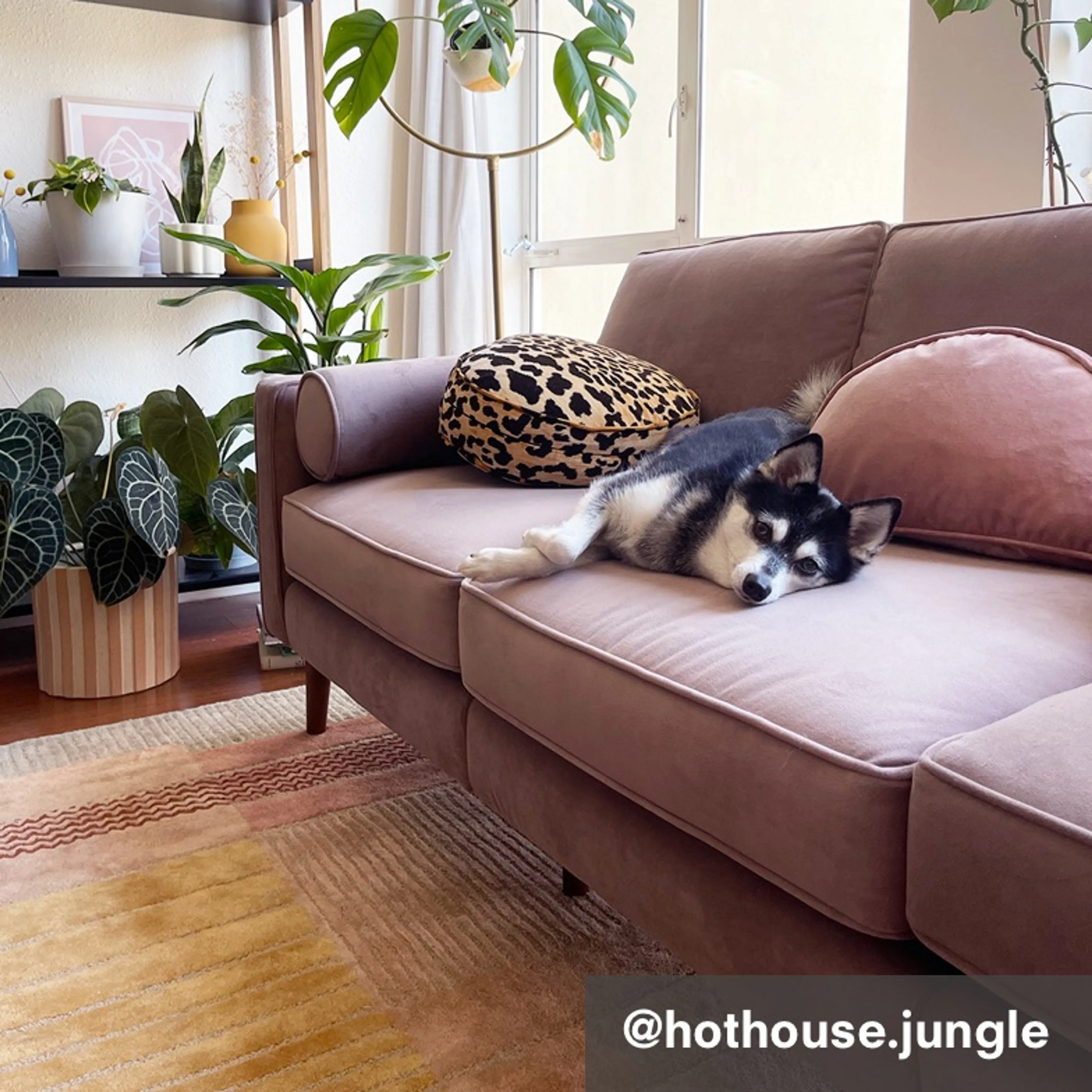 Nomad Velvet Sofa from @hothouse.jungle