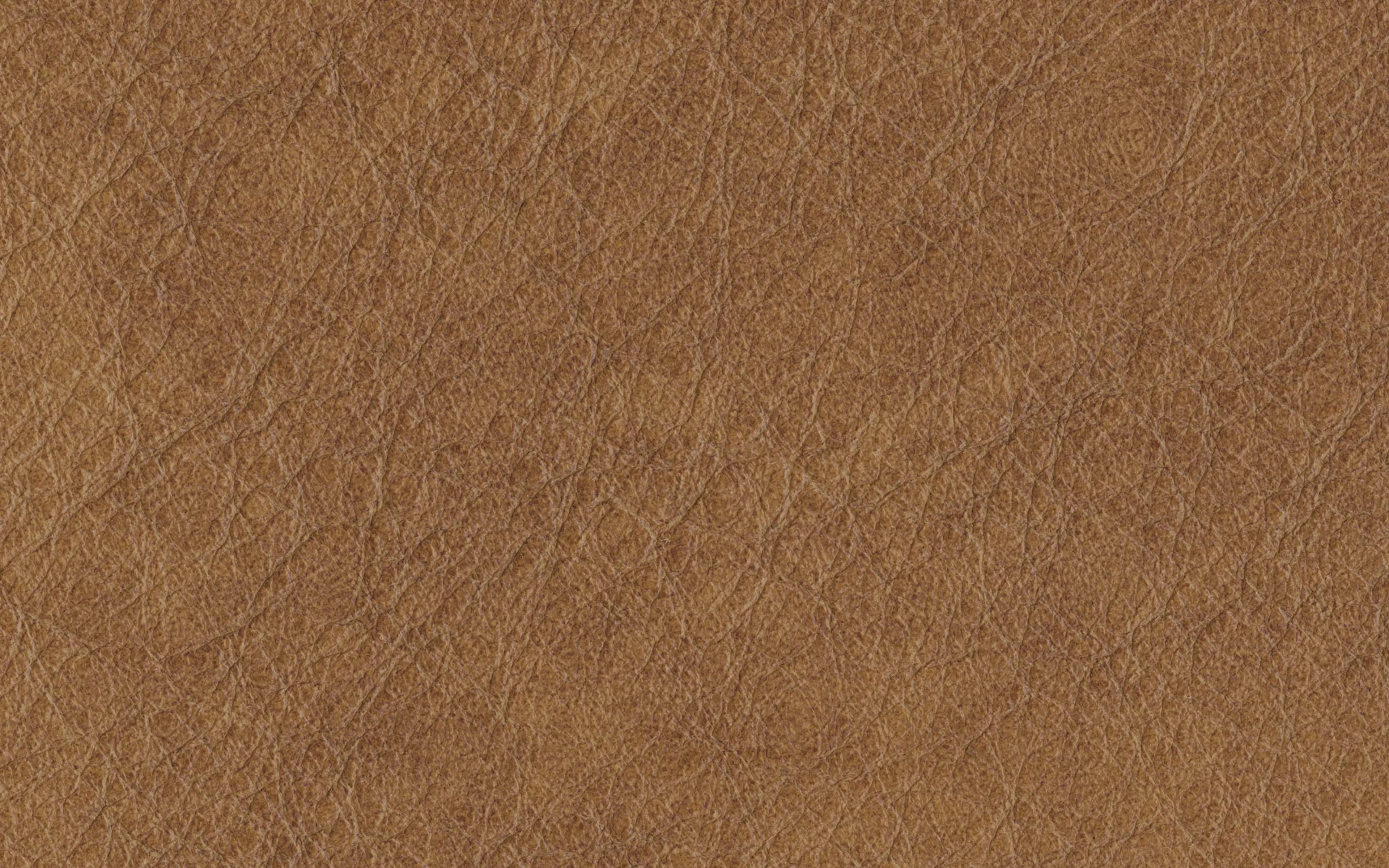 Camel Top-Grain Leather