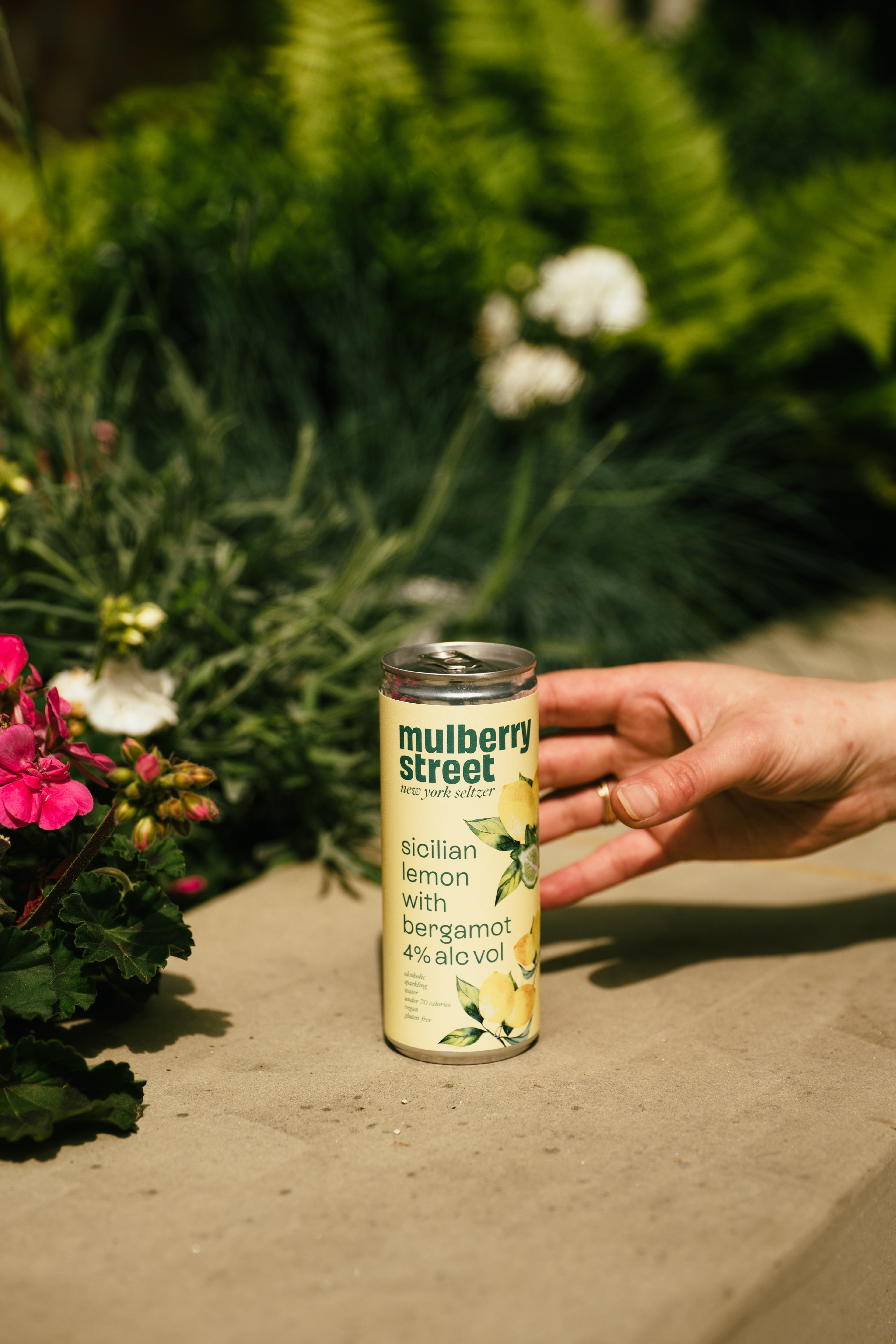 A hand reaching out to a can of Mulberry Street Lemon Seltzer