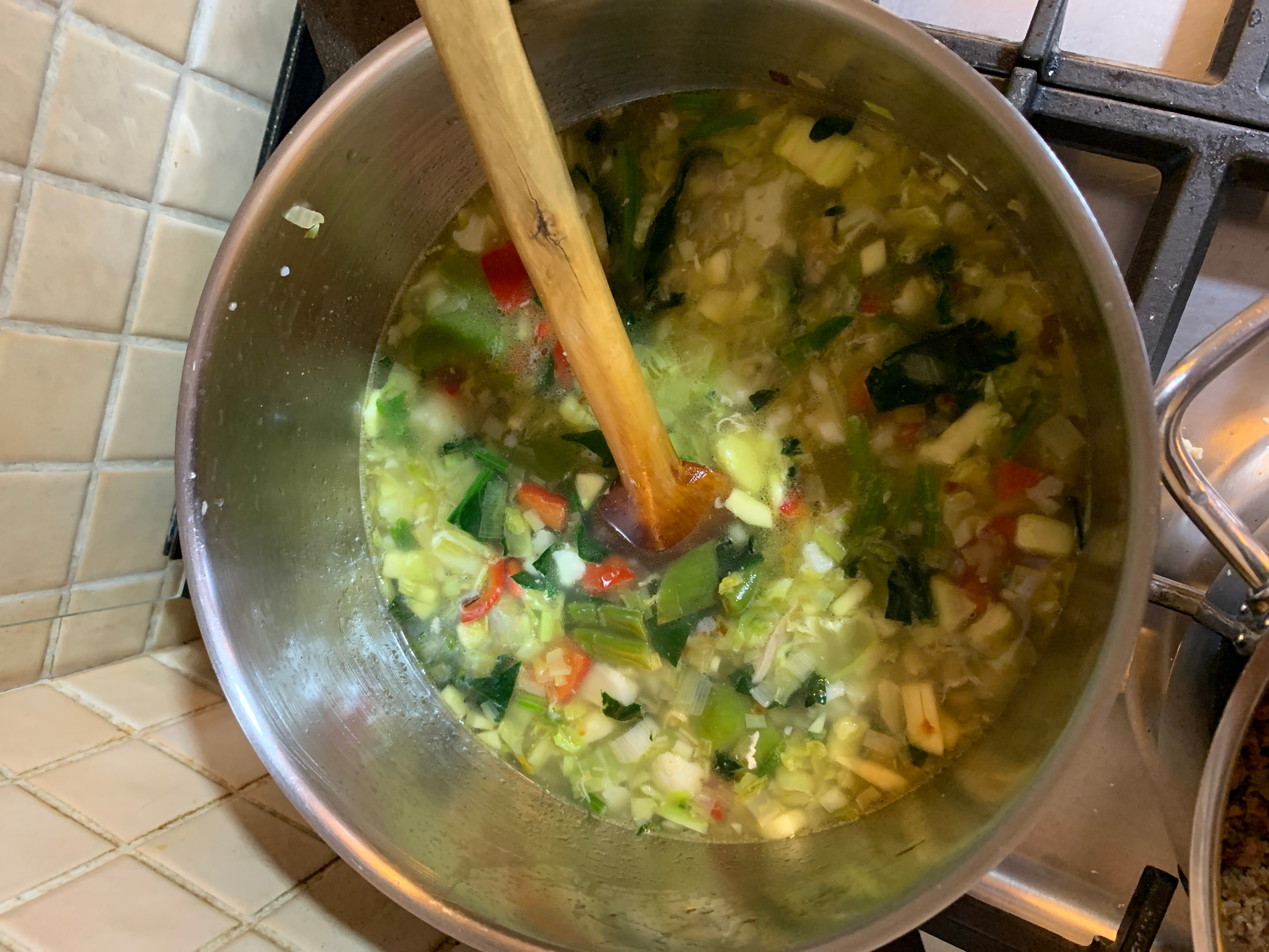 The image for the recipe Sebze Corbasi