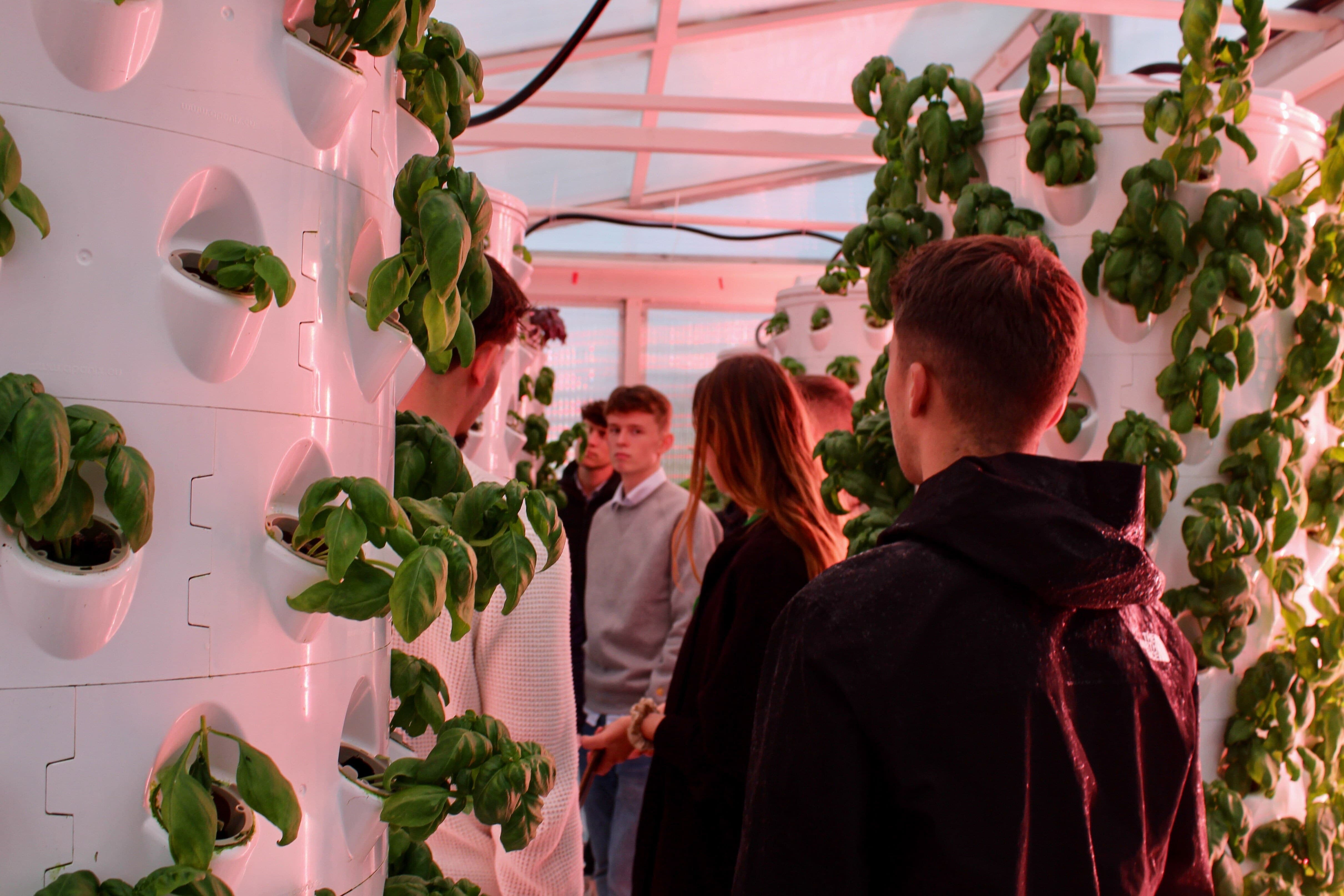Photo highlighting aspects of vertical farming or greenhouse setups with people