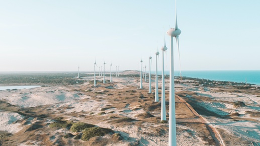 Sustainability’s new horizons – Sweep’s ESG Insights for 2024