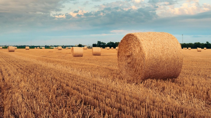 Farming SOS: How we can all play our part in lowering agriculture emissions