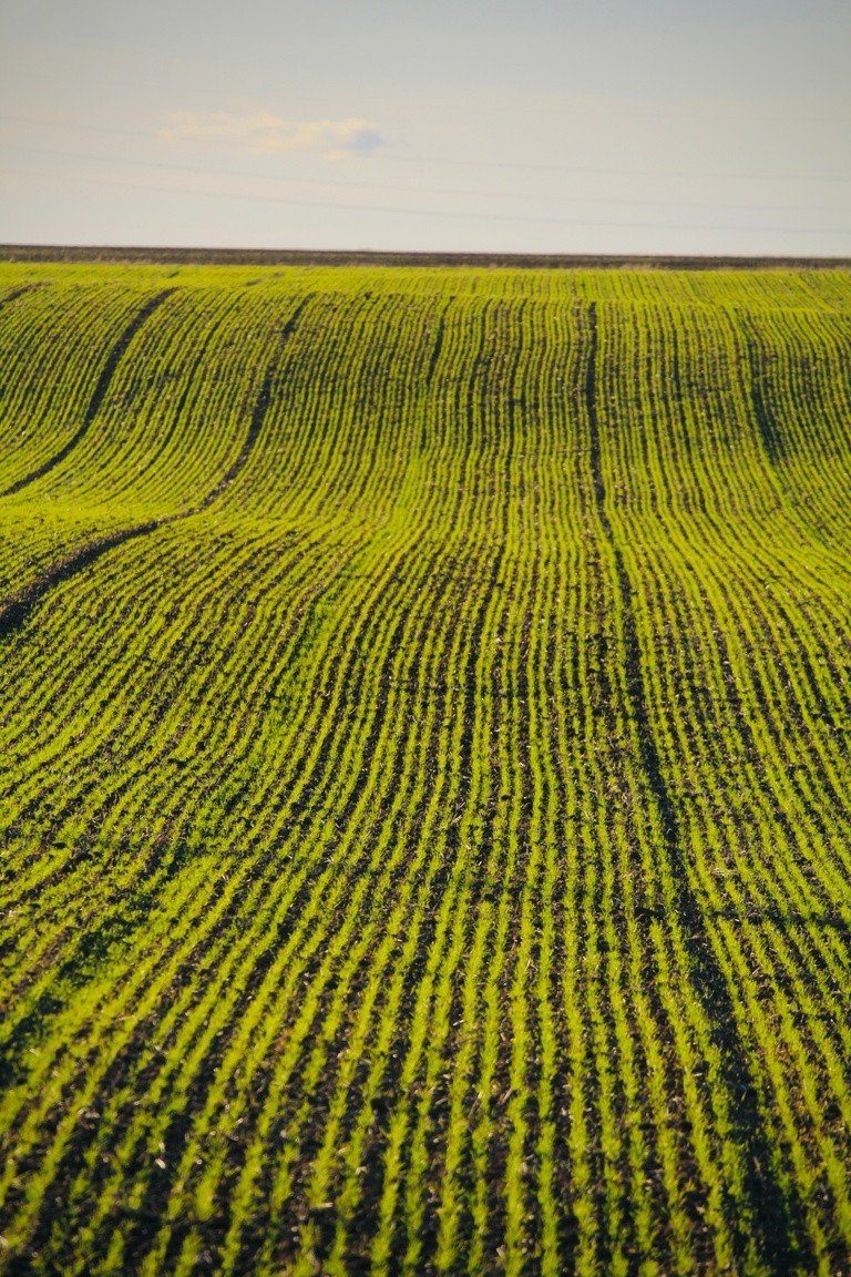 paisaje-castilla