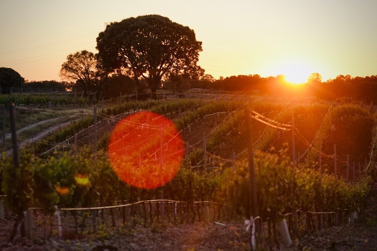 paisaje-castilla