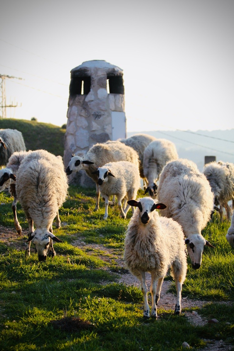 paisaje-castilla