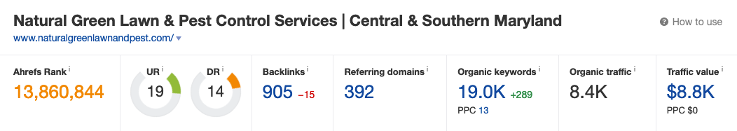 1st Competitor stats on Ahrefs.