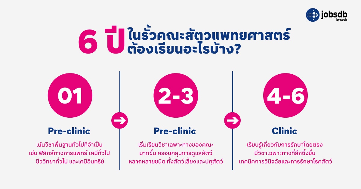 6 ปีในรั้วคณะสัตวแพทยศาสตร์ ต้องเรียนอะไรบ้าง?