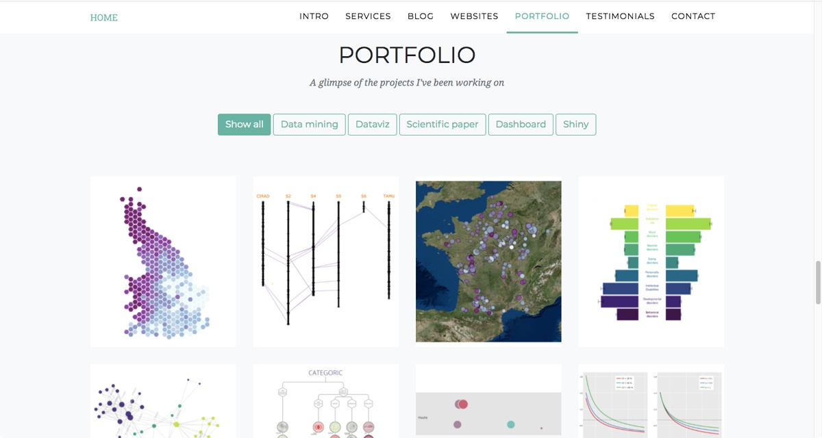 Contoh portofolio untuk posisi analis data.