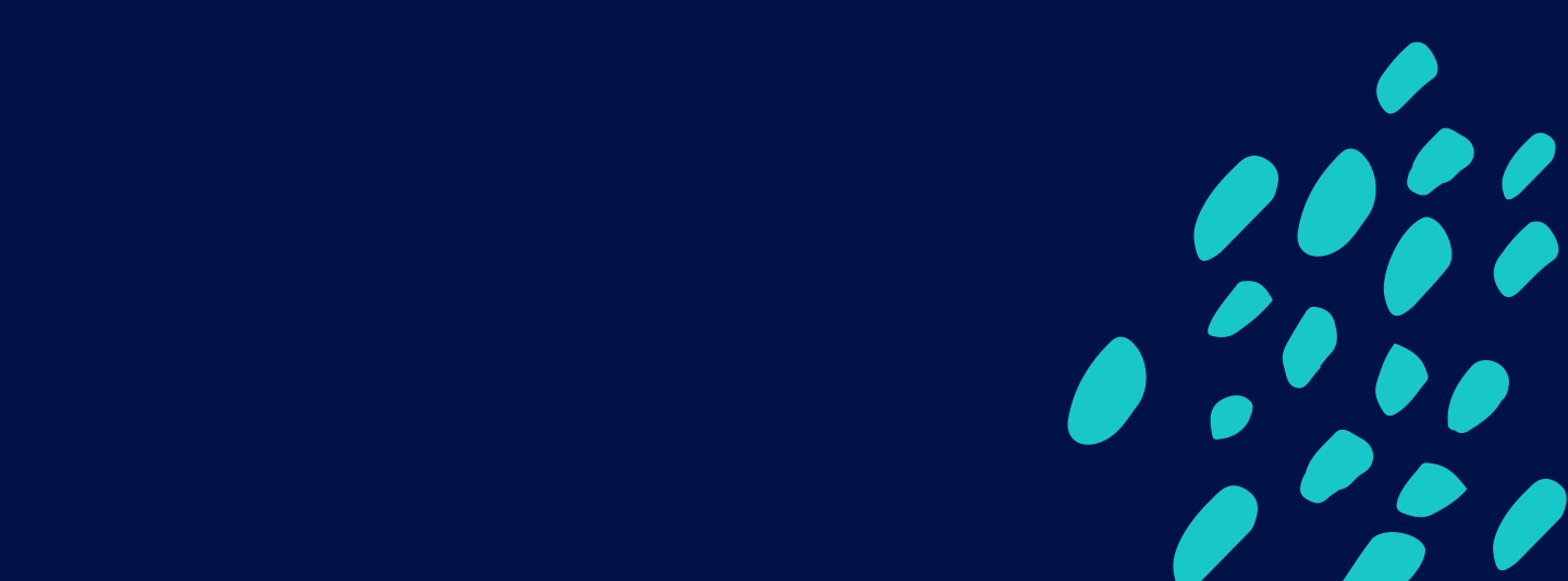 Health and Dental insurance for Honeybook