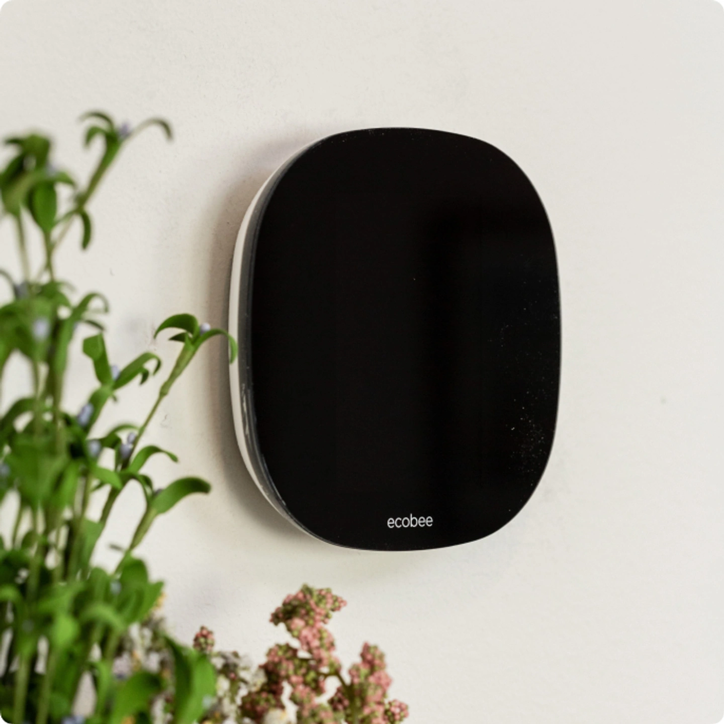 picture of ecobee® Smart Thermostat in home