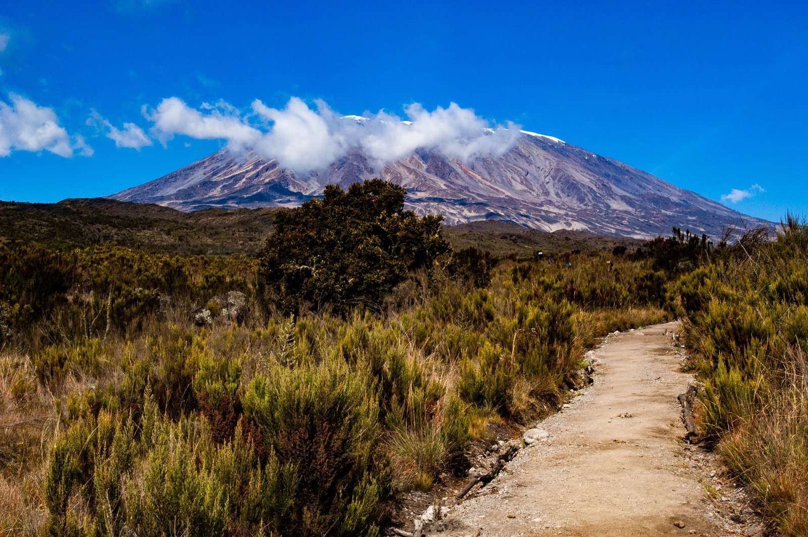 Explore 7 different routes to climb Mount Kilimanjaro, the highest mountain in Africa, and the highest singe free-standing mountain in the world. 