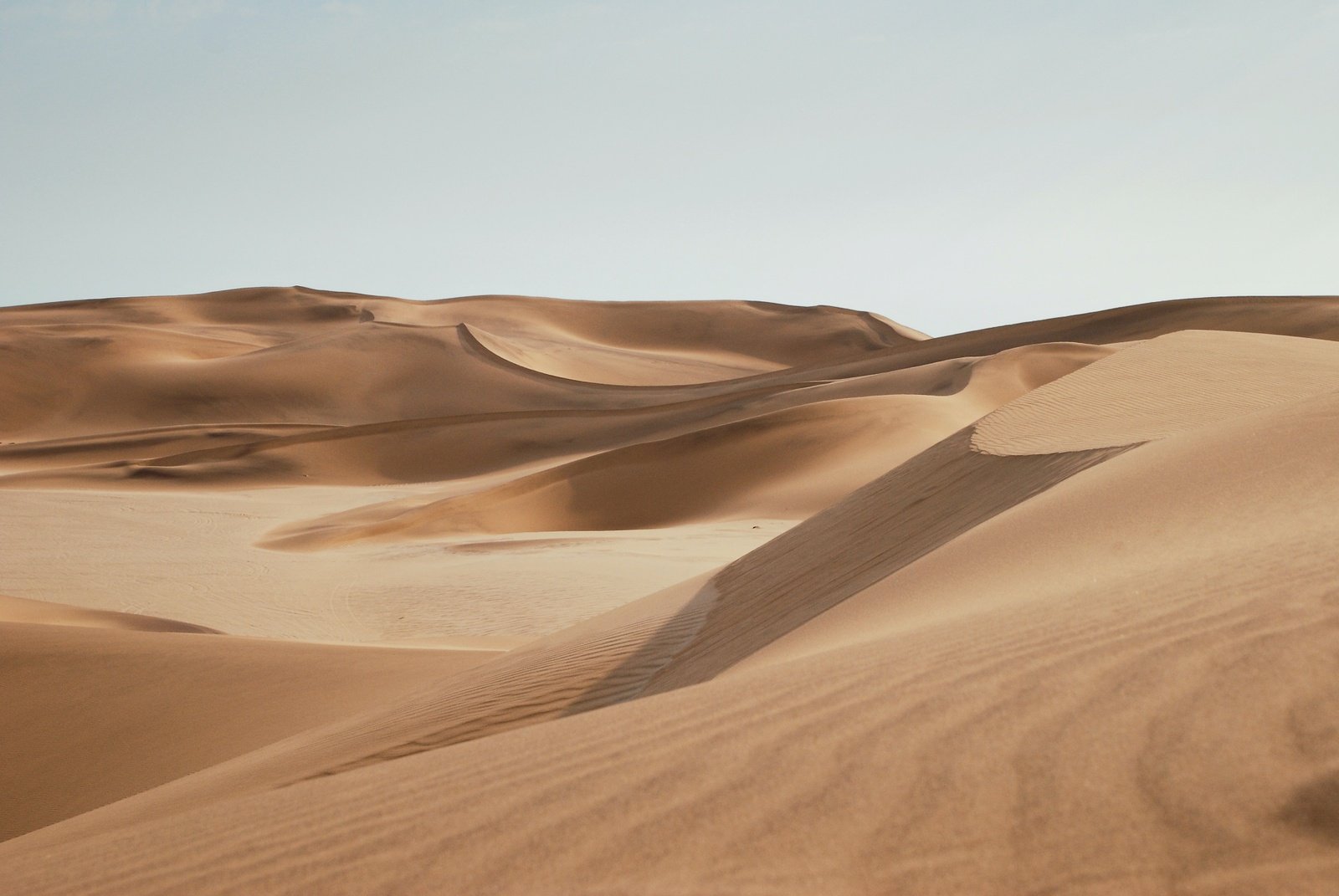  Unarguably the Namib Desert, featuring rare and unearthly natural wonders, is one of Namibia’s most well-known and tempting highlights.