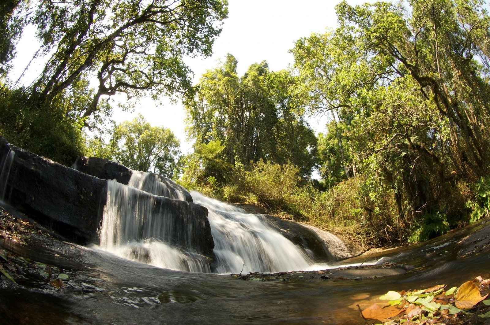 Mount Mulanje, Zomba Plateau, Livingstonia, Nyika plateau, just to mention a few from the many outstanding options for hiking and trekking in Malawi....