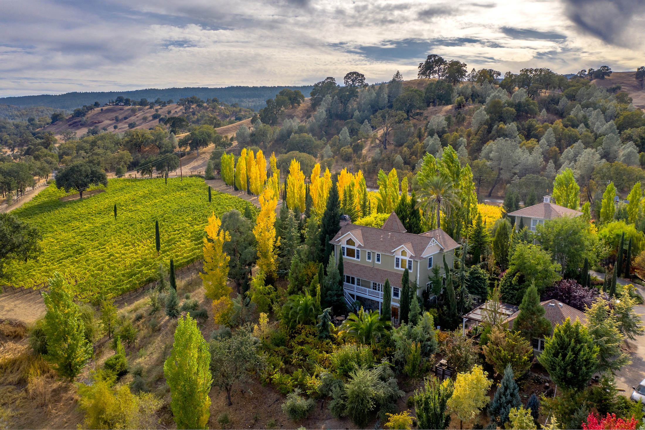 The House & Guest House Surrounded by Trees & Vines