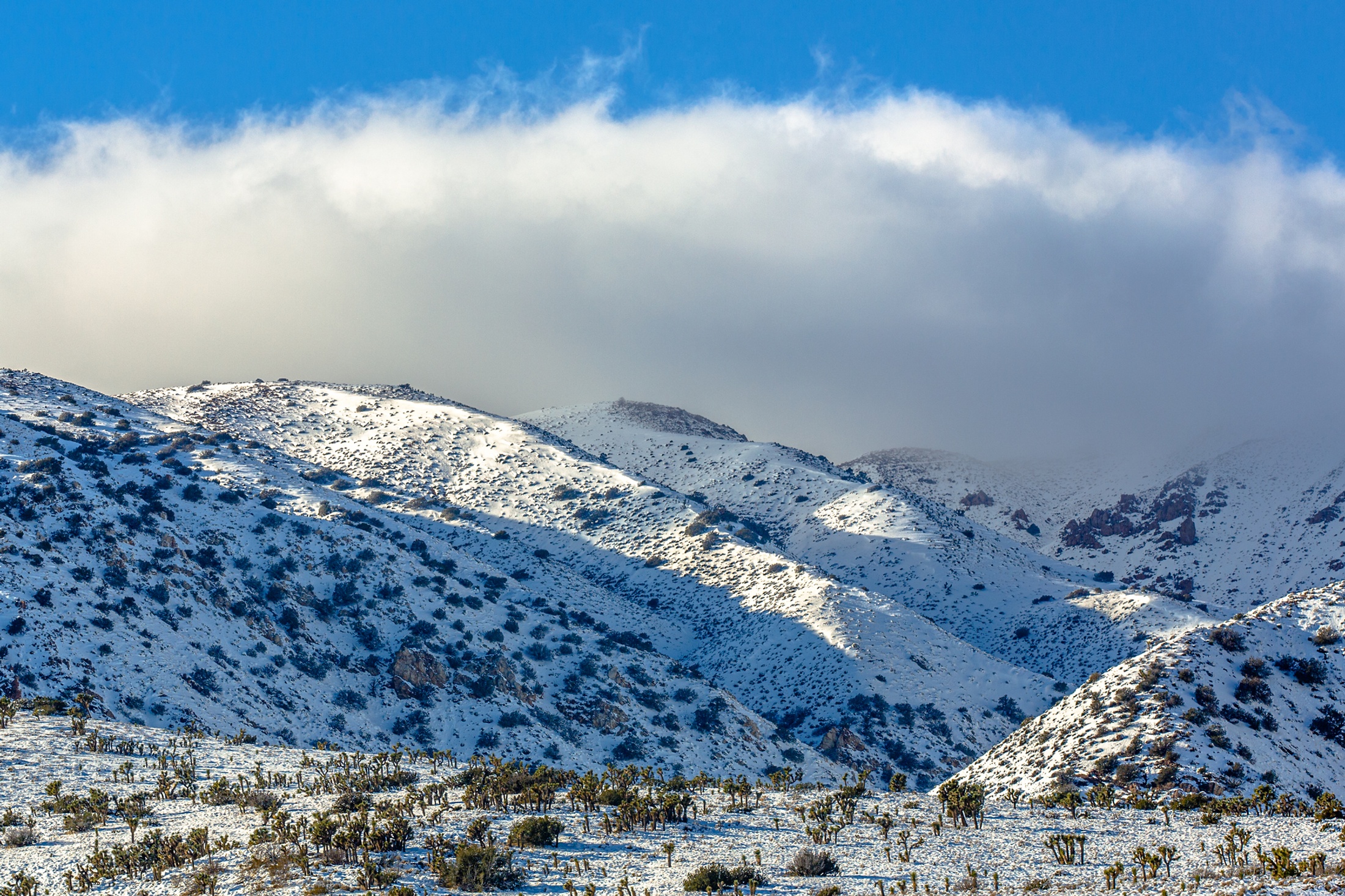 January Snow