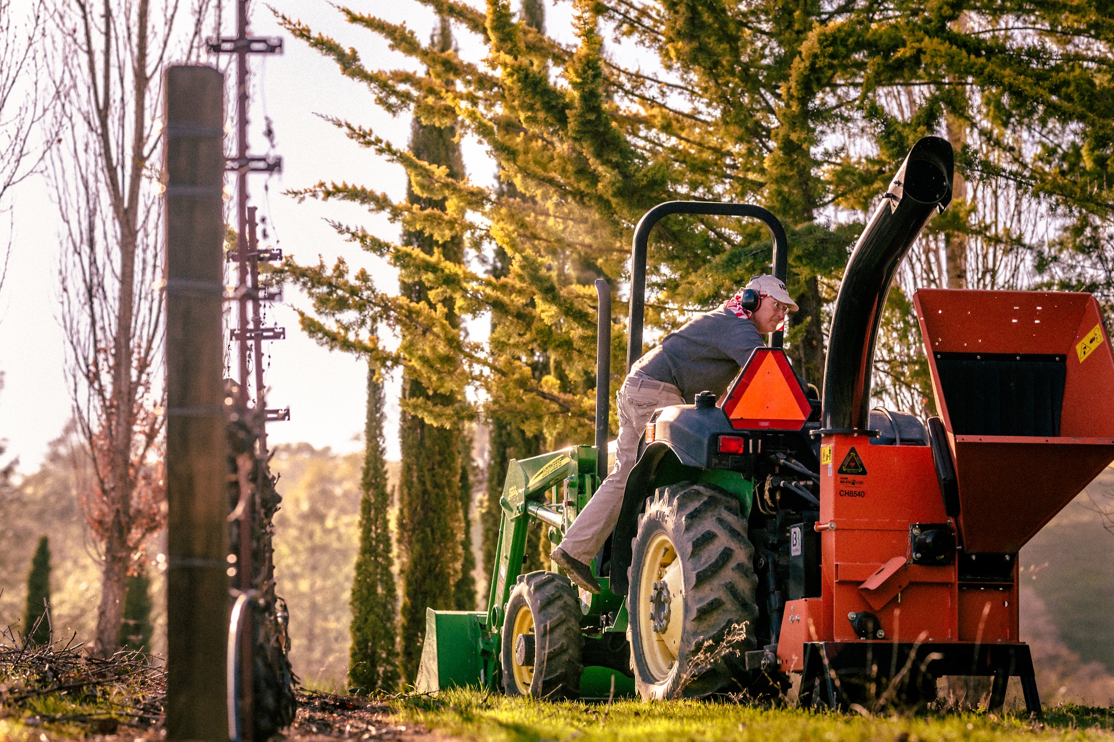 Thomas Working In The Vineyard