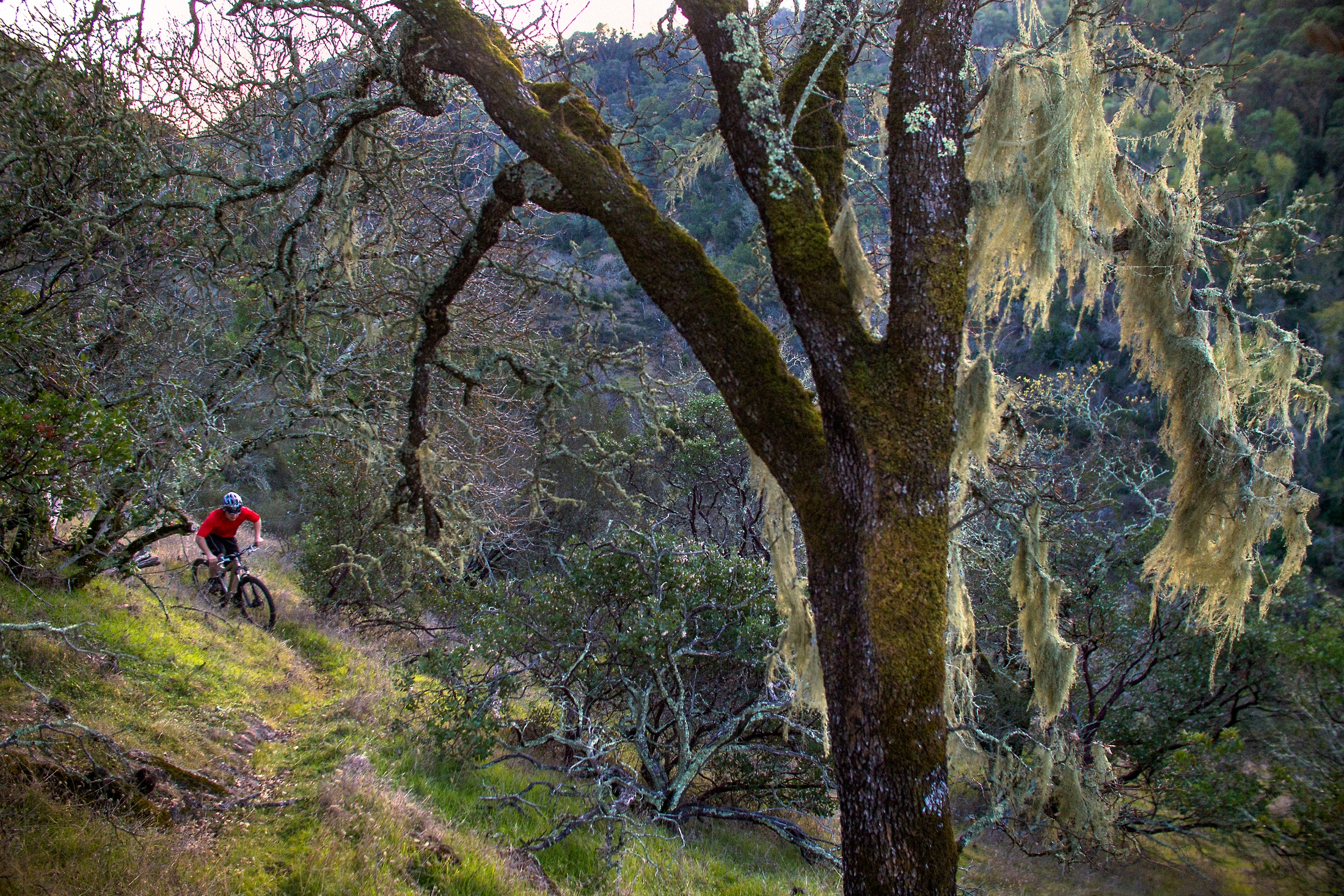 Singletrack Self Portrait