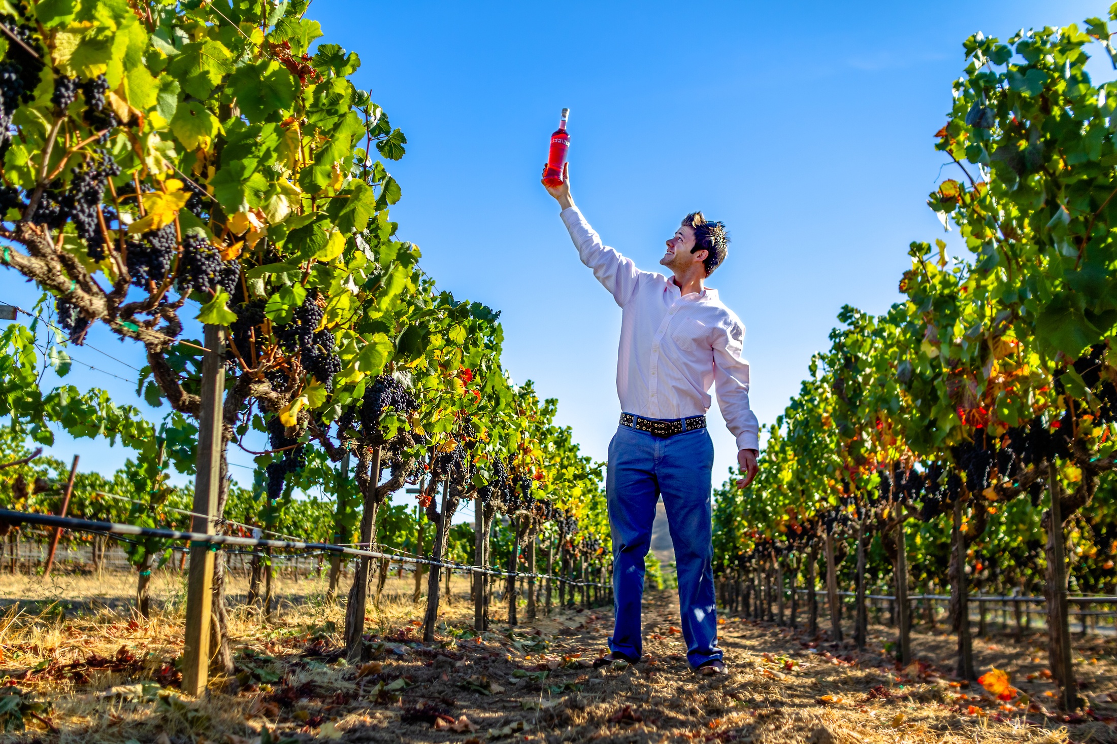 David James & the the 2011 Exotic Rosé