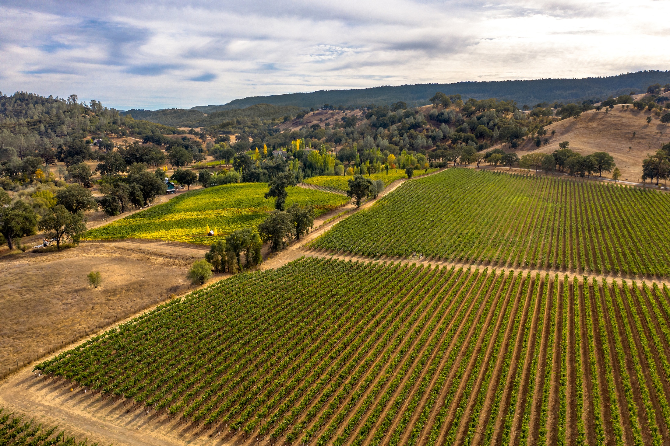 Looking South Over Pope Valley