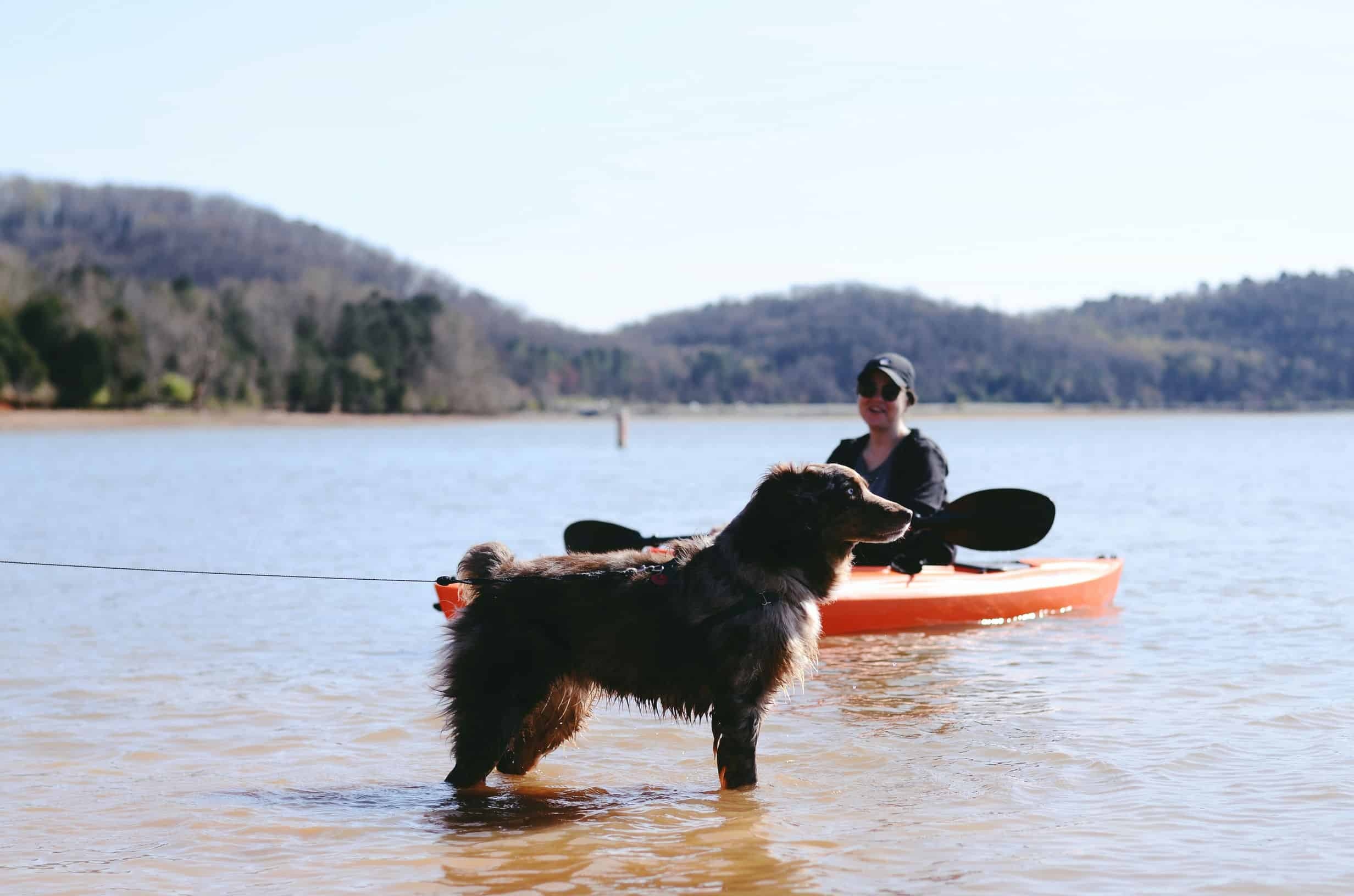 Dog and Kayaker in River | Chattanooga Moving Guide