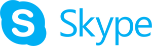 Skype to SalesForce