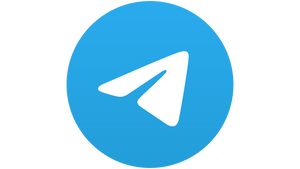 Telegram to Webhook