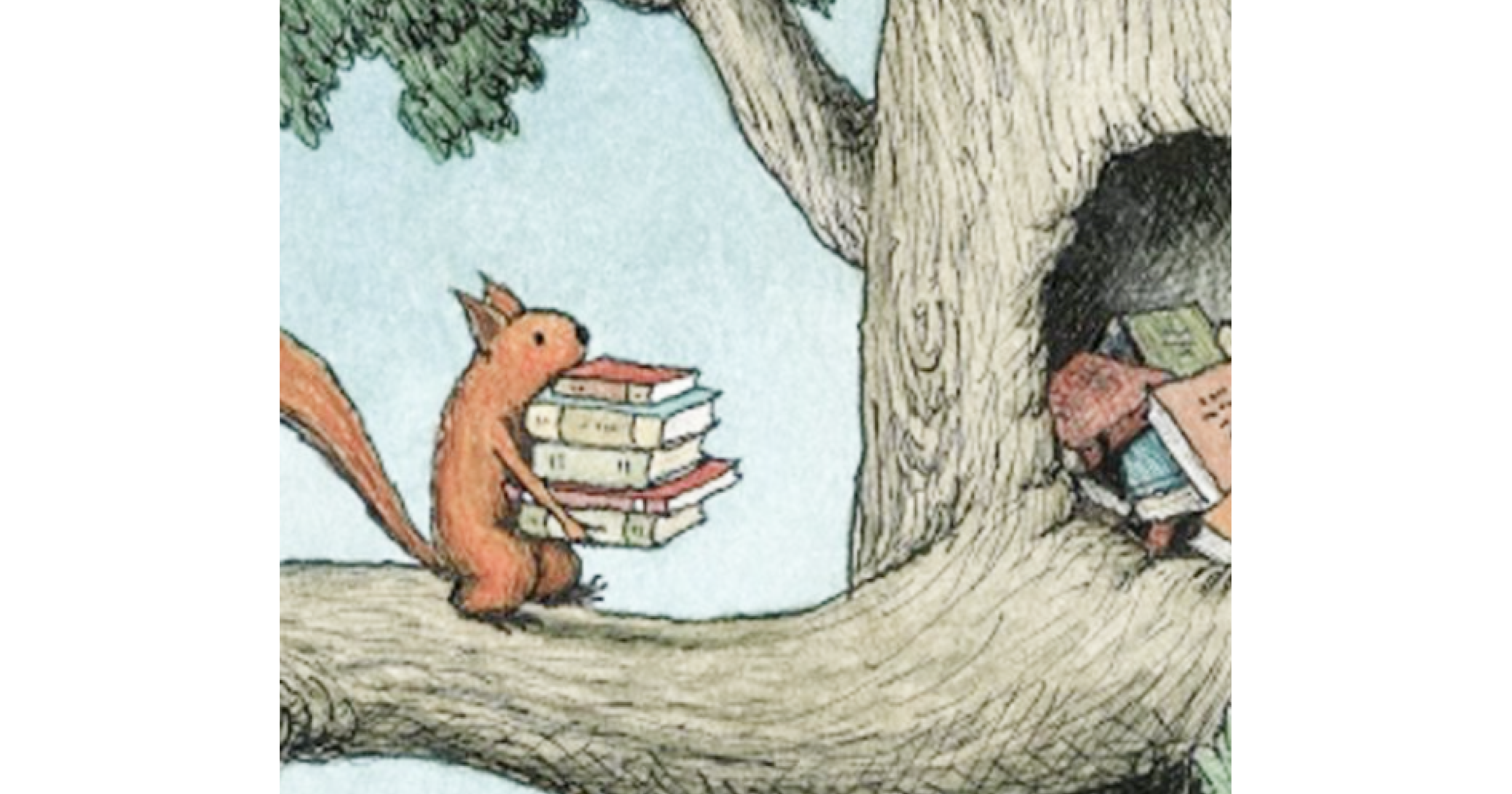 A squirrel carries a pile of books into its hole in the tree
