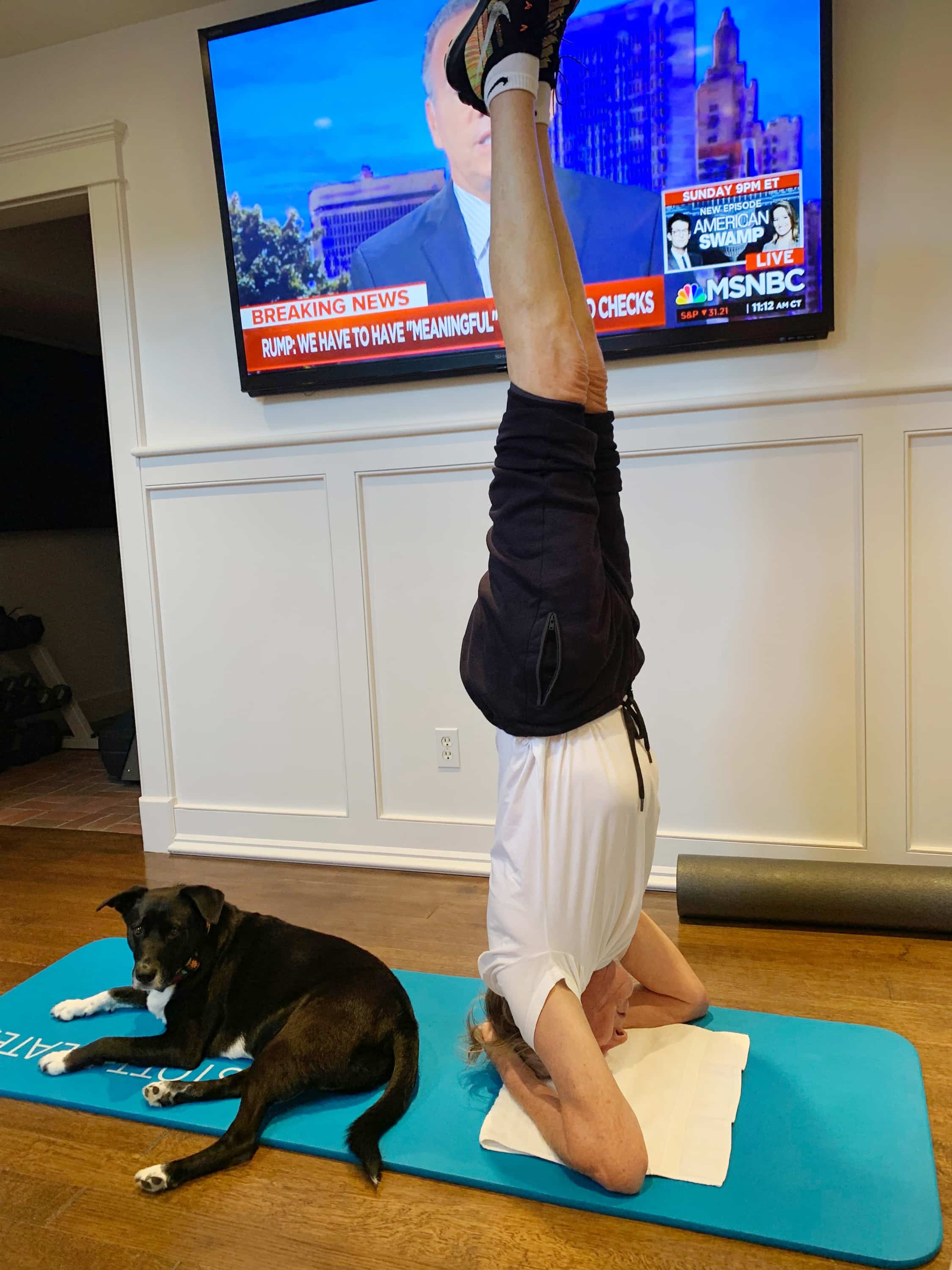 Photo of Paul McCartney doing a headstand with his rescue dog Rose.
