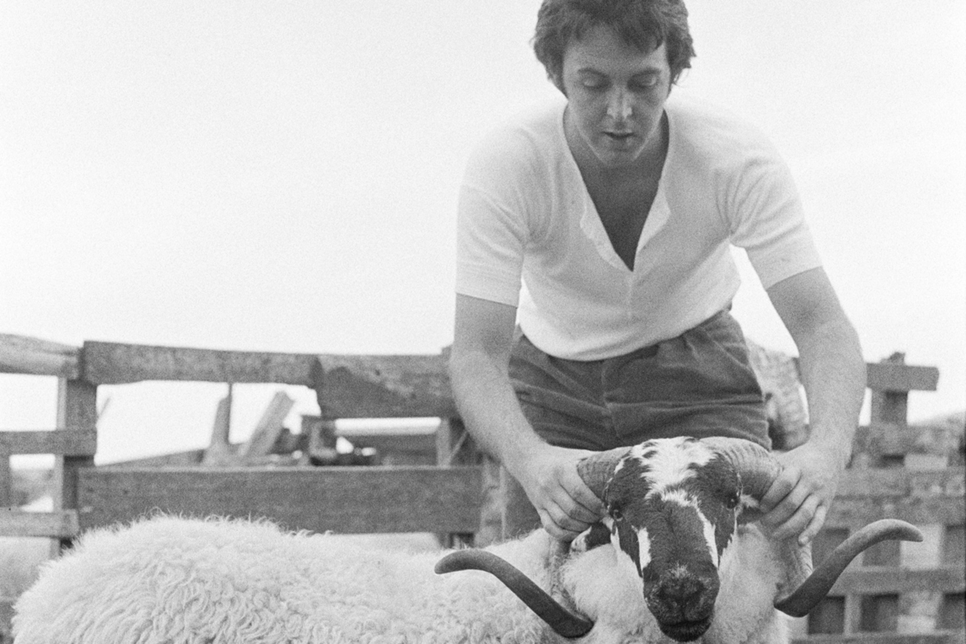 Ram album cover by Linda McCartney