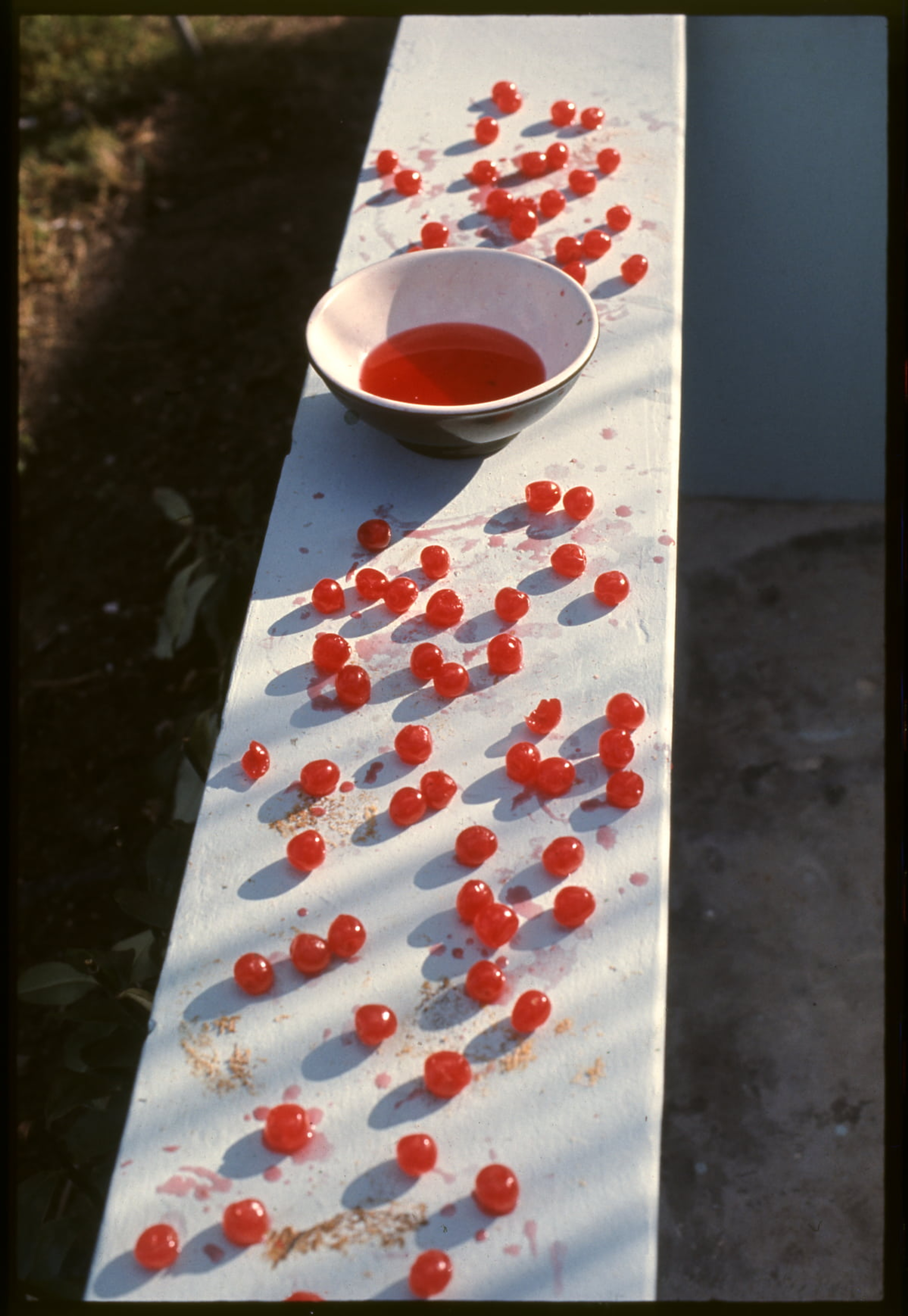 Photo of Cherries on a wall with a bowl full of cherry juice. Photo by Linda McCartney
