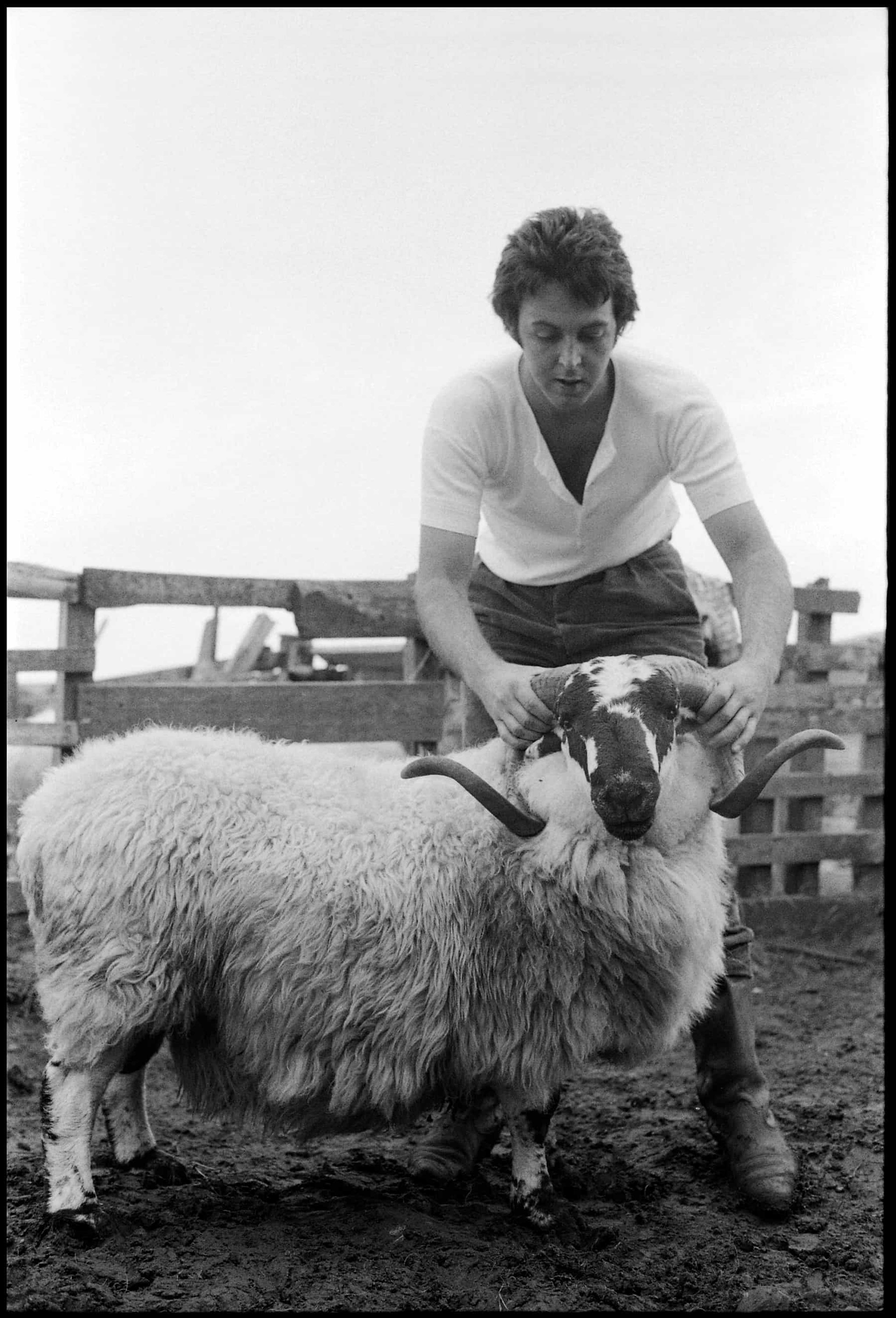 Paul holding a ram by its horns